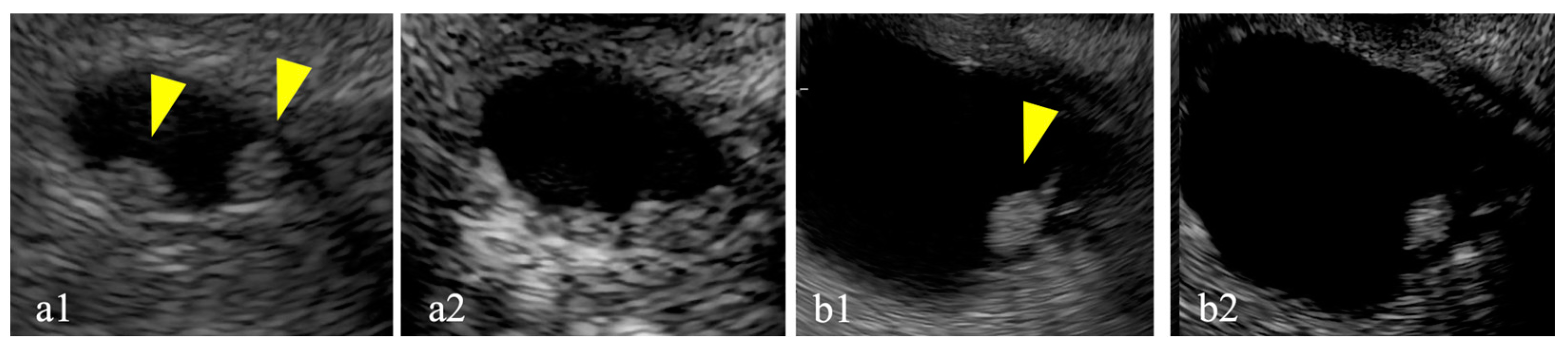 Diagnostics 15 00196 g001
