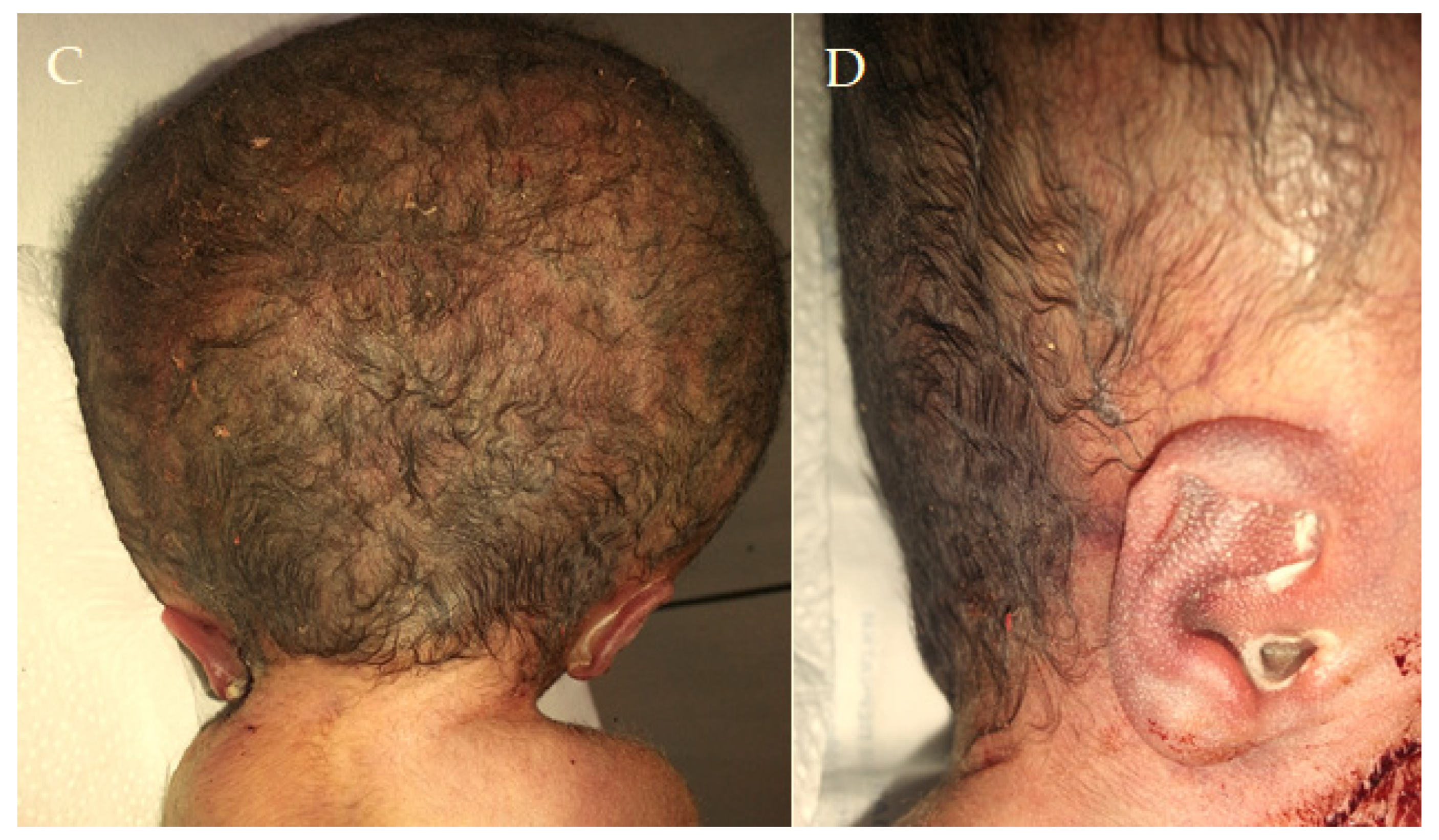 Diagnostics 15 00202 g001b Diagnostics 15 00202 g001b