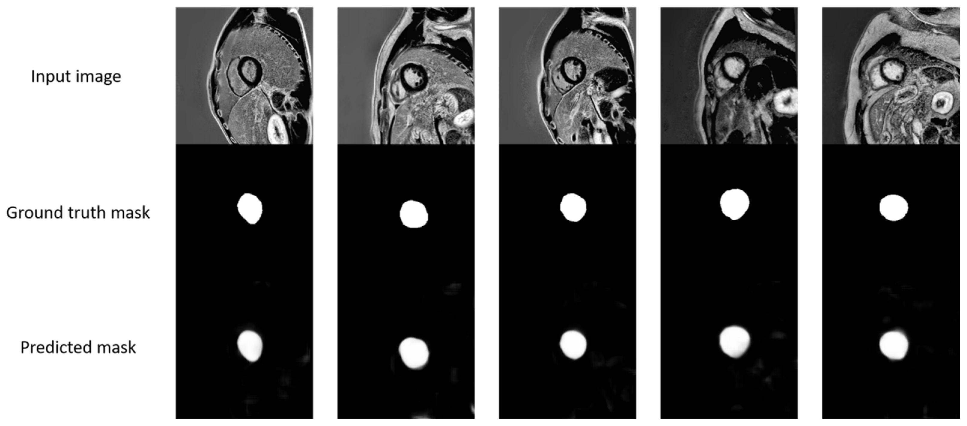 Diagnostics 15 00207 g003