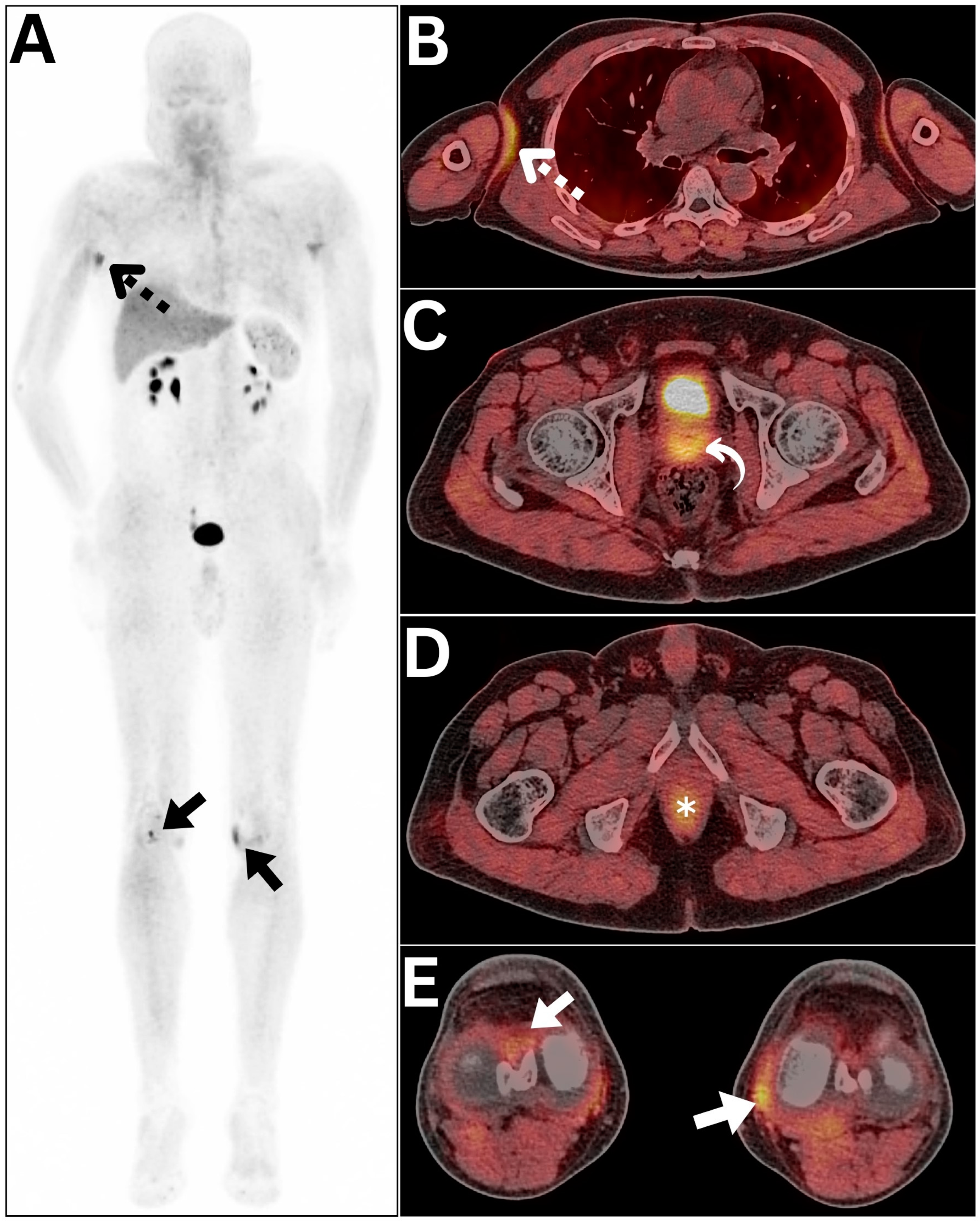 Diagnostics 15 00218 g004