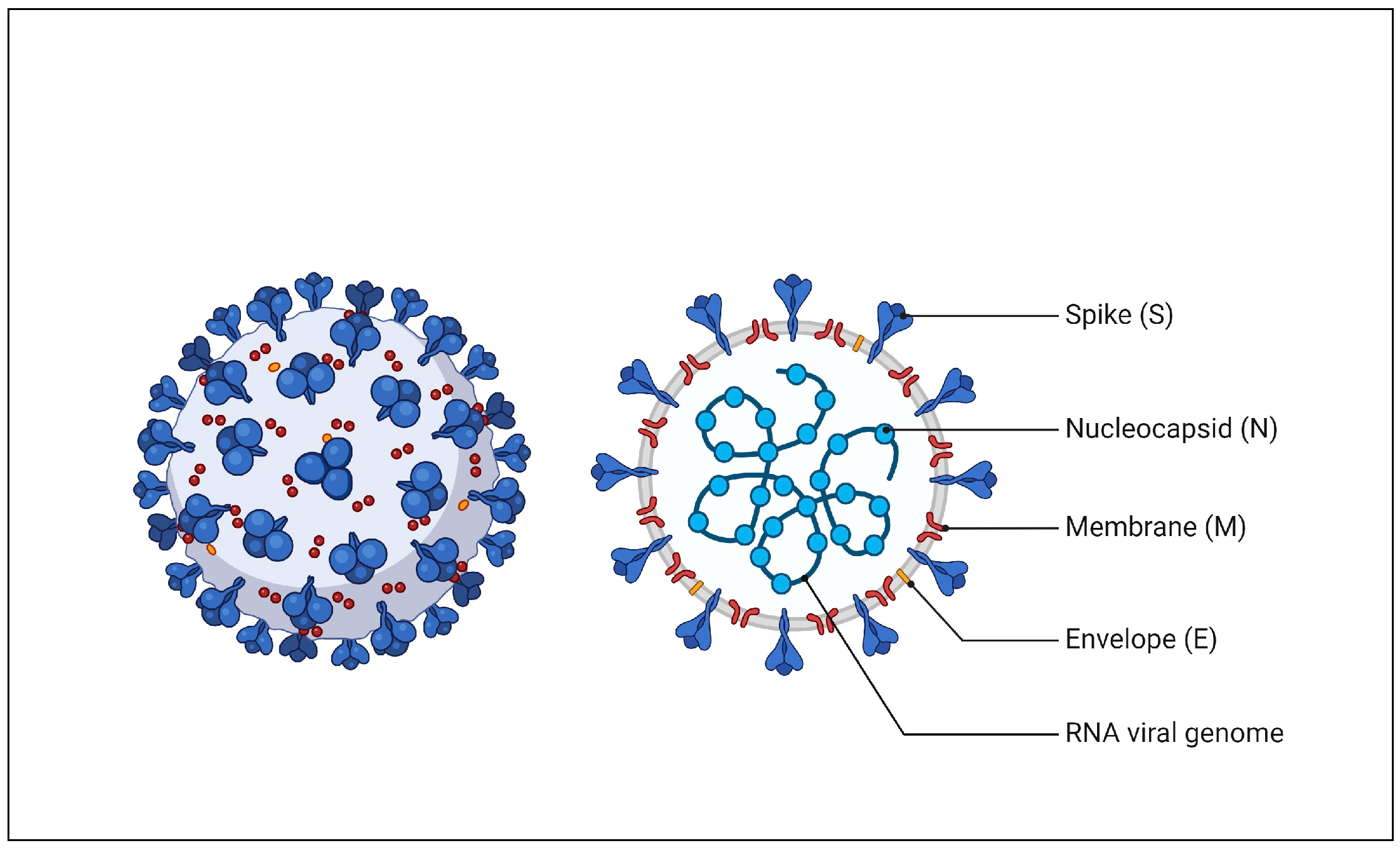 Diagnostics 15 00229 g001