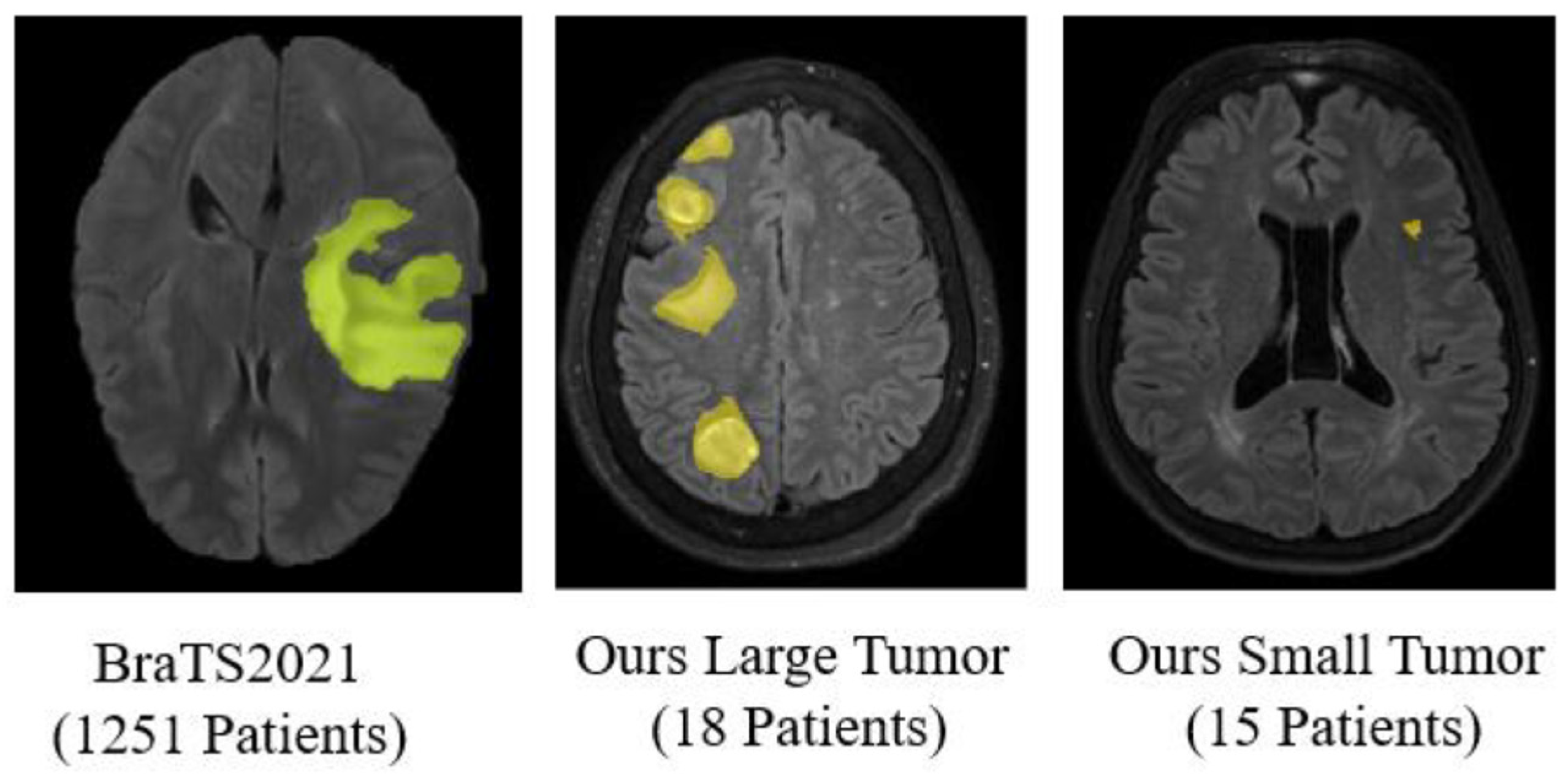 Diagnostics 15 00249 g001