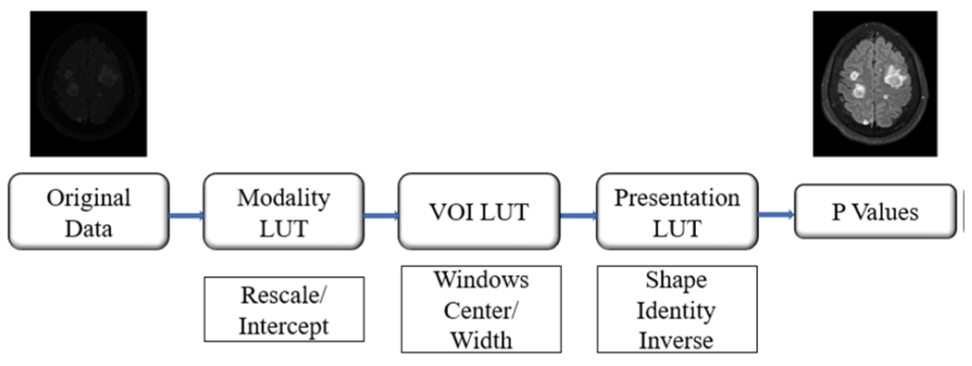 Diagnostics 15 00249 g002