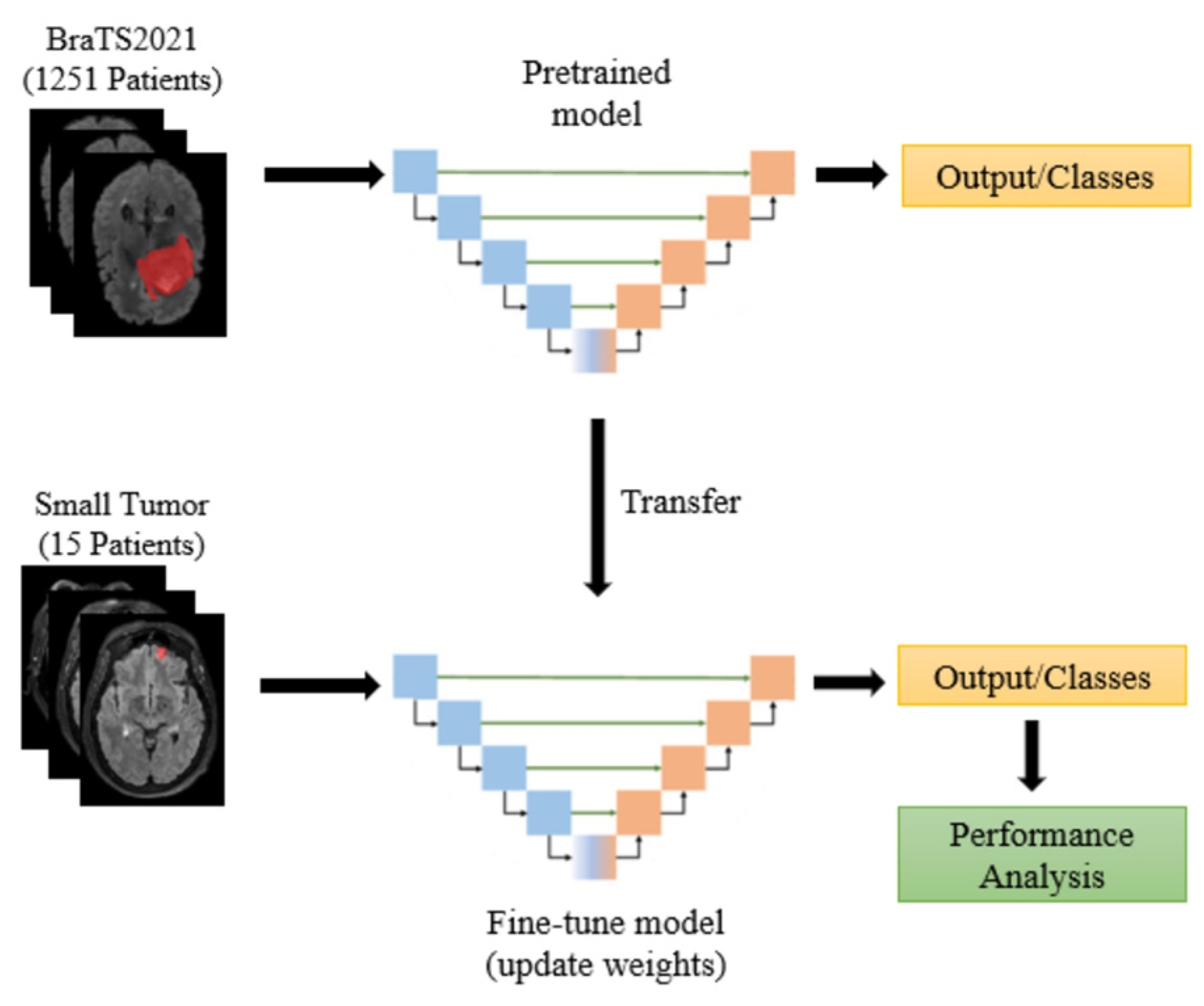 Diagnostics 15 00249 g005