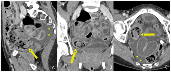 Diagnostics 15 00256 g001