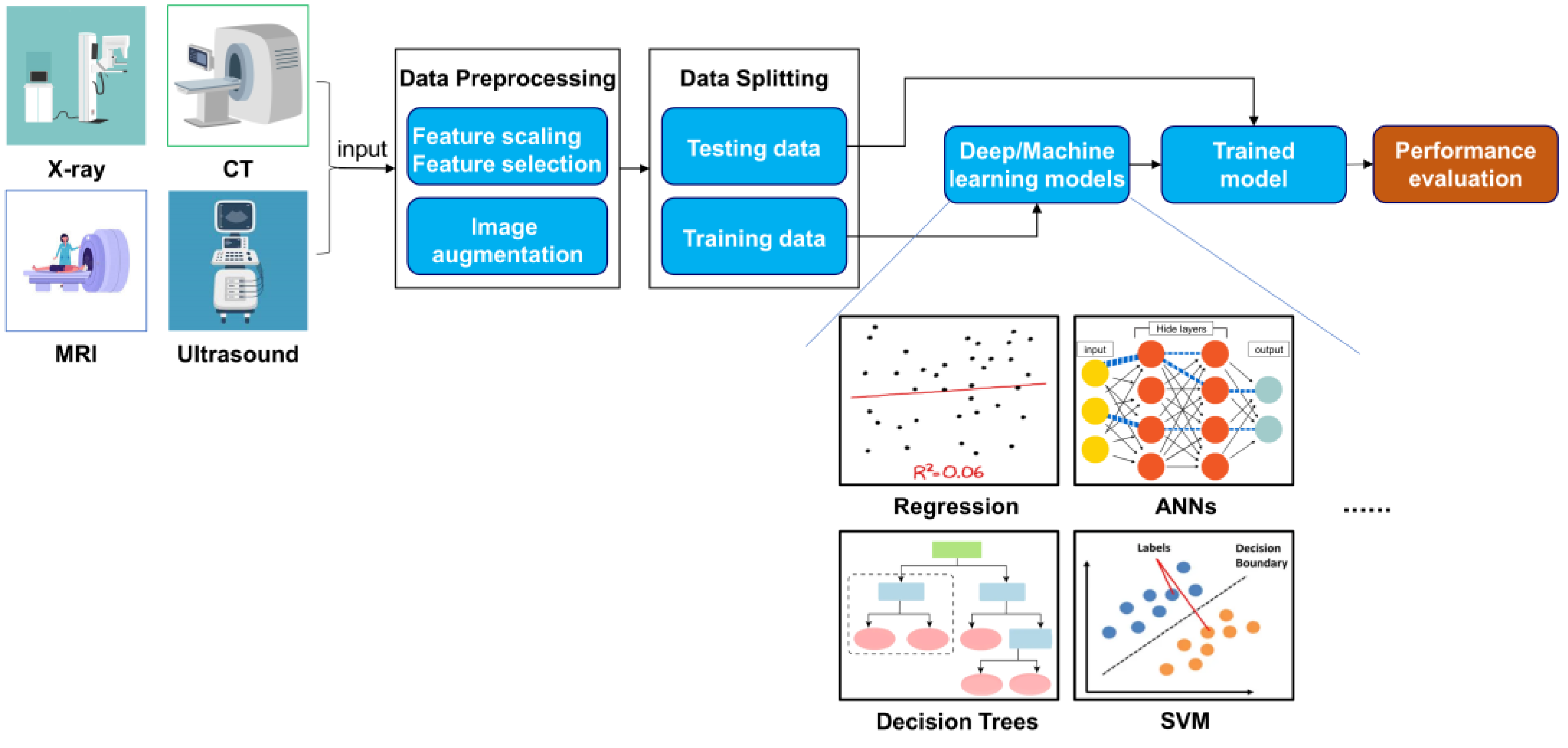 Diagnostics 15 00257 g001