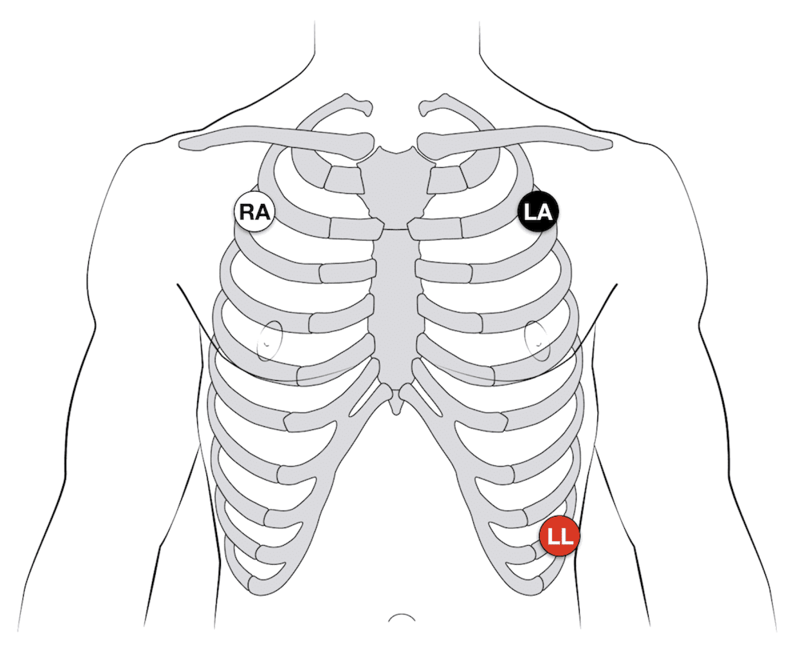 Diagnostics 15 00261 g002 Diagnostics 15 00261 g002