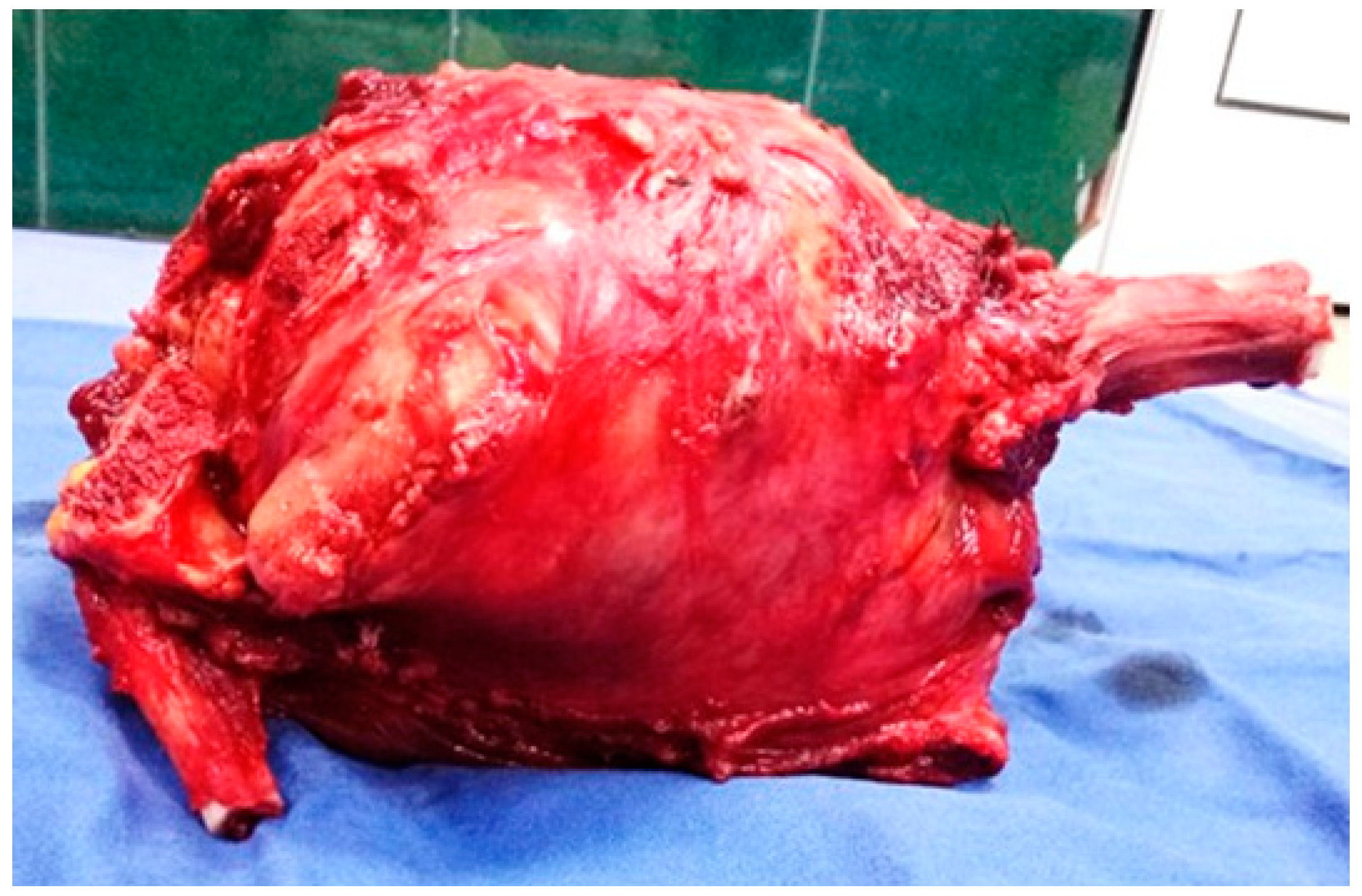 Diagnostics 15 00266 g003