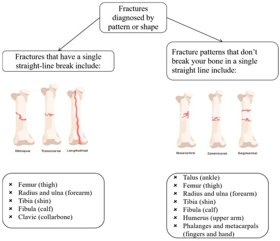 Diagnostics 15 00271 g004