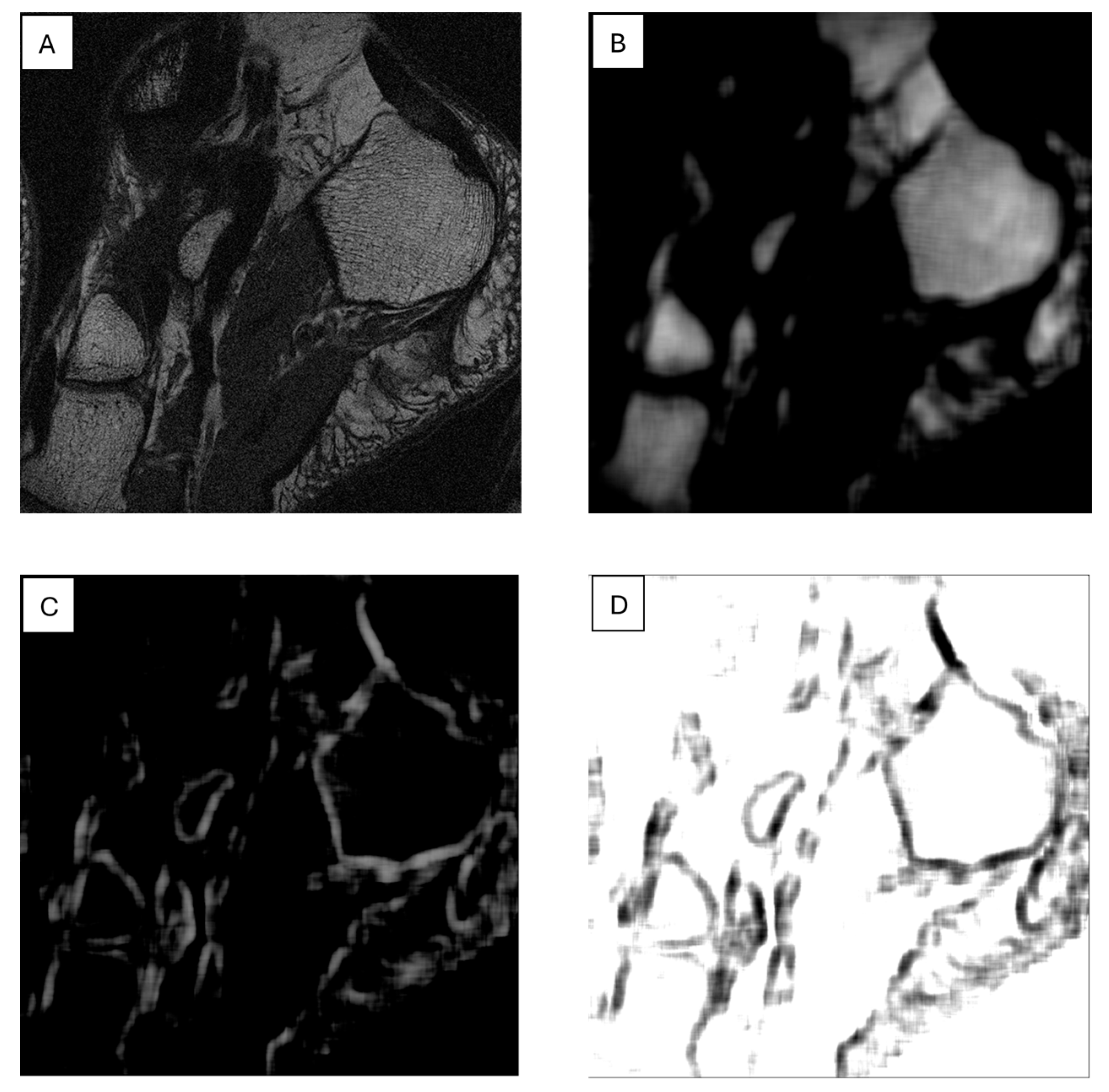 Diagnostics 15 00282 g005