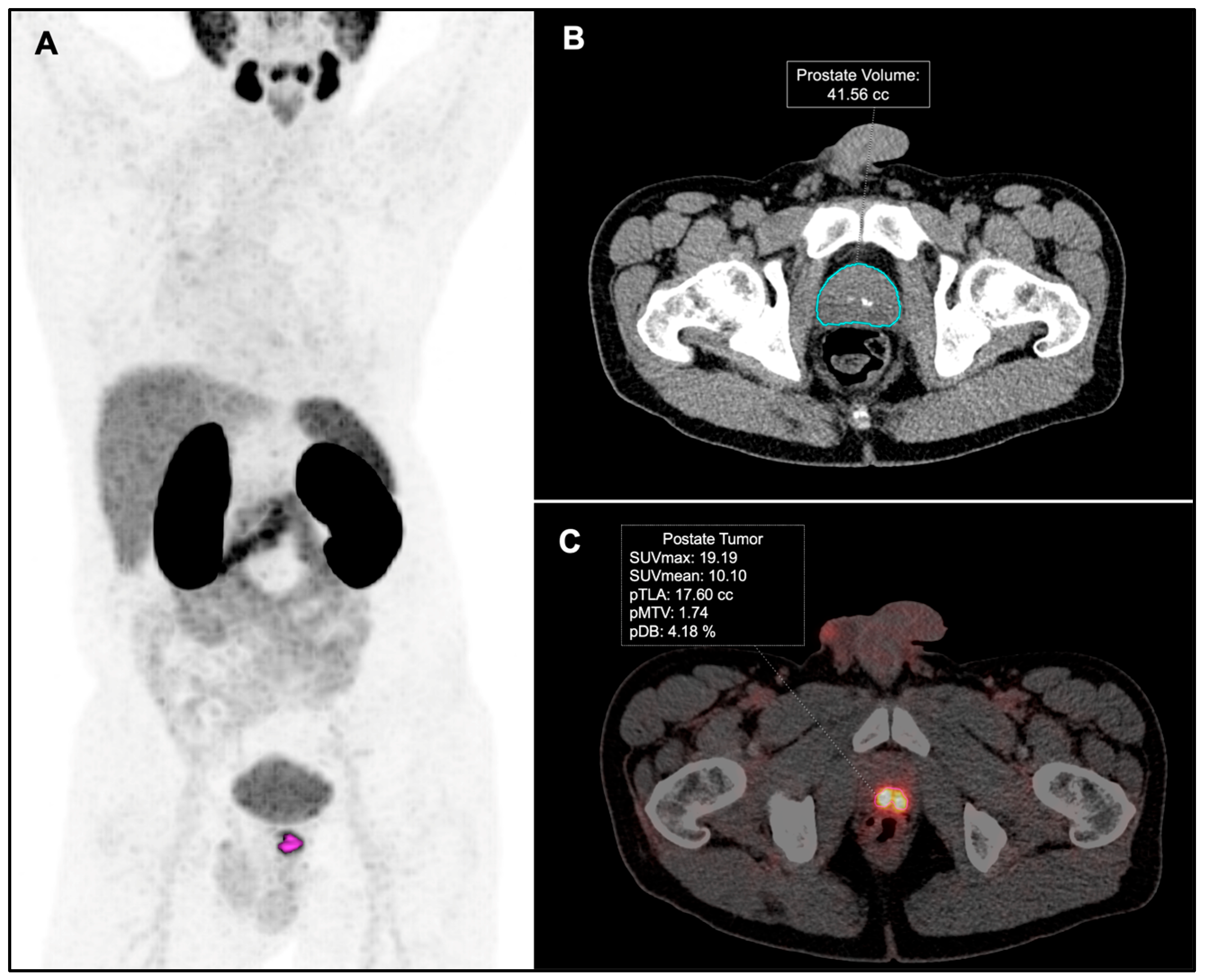 Diagnostics 15 00301 g002