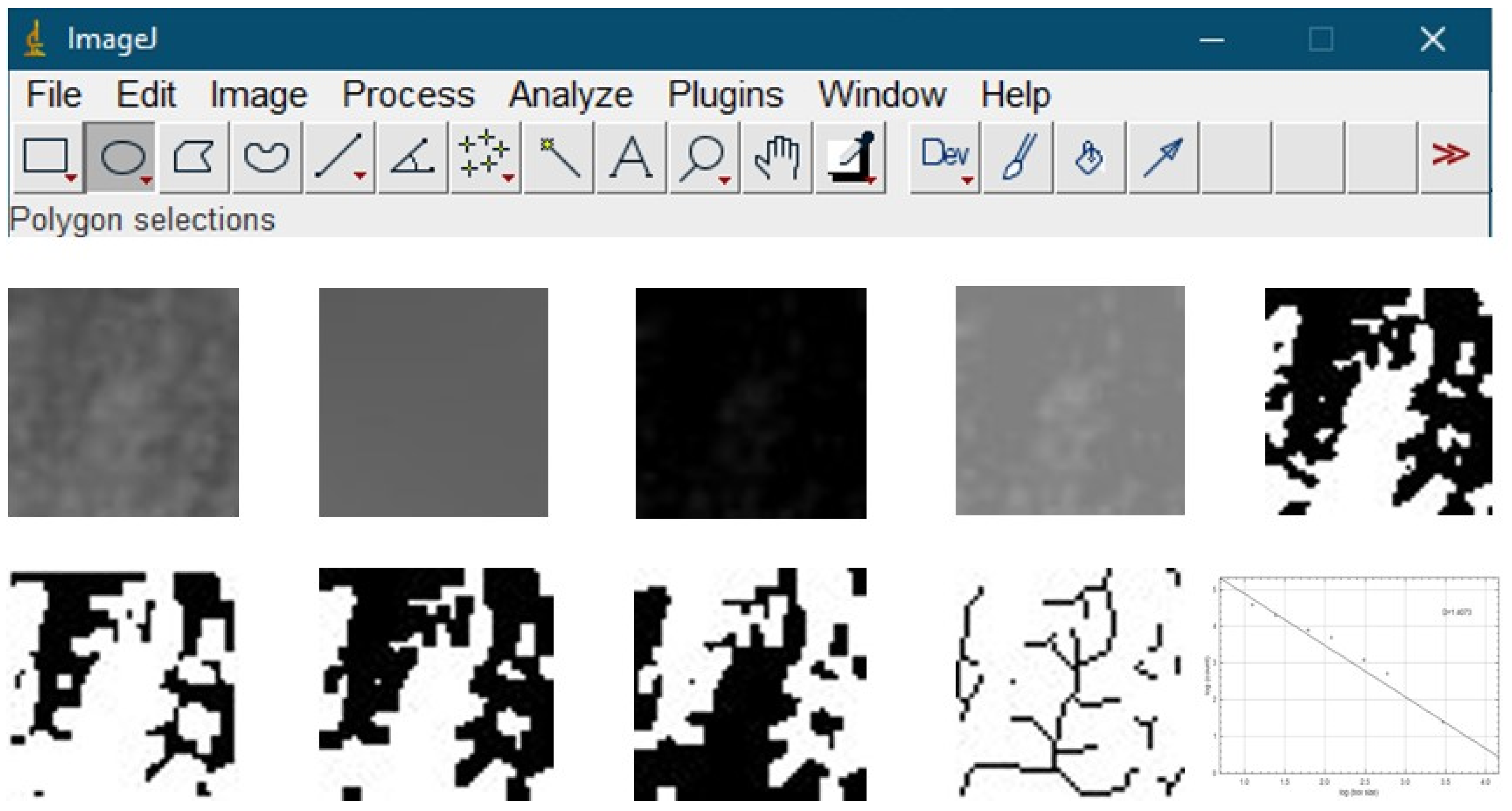 Diagnostics 15 00306 g002