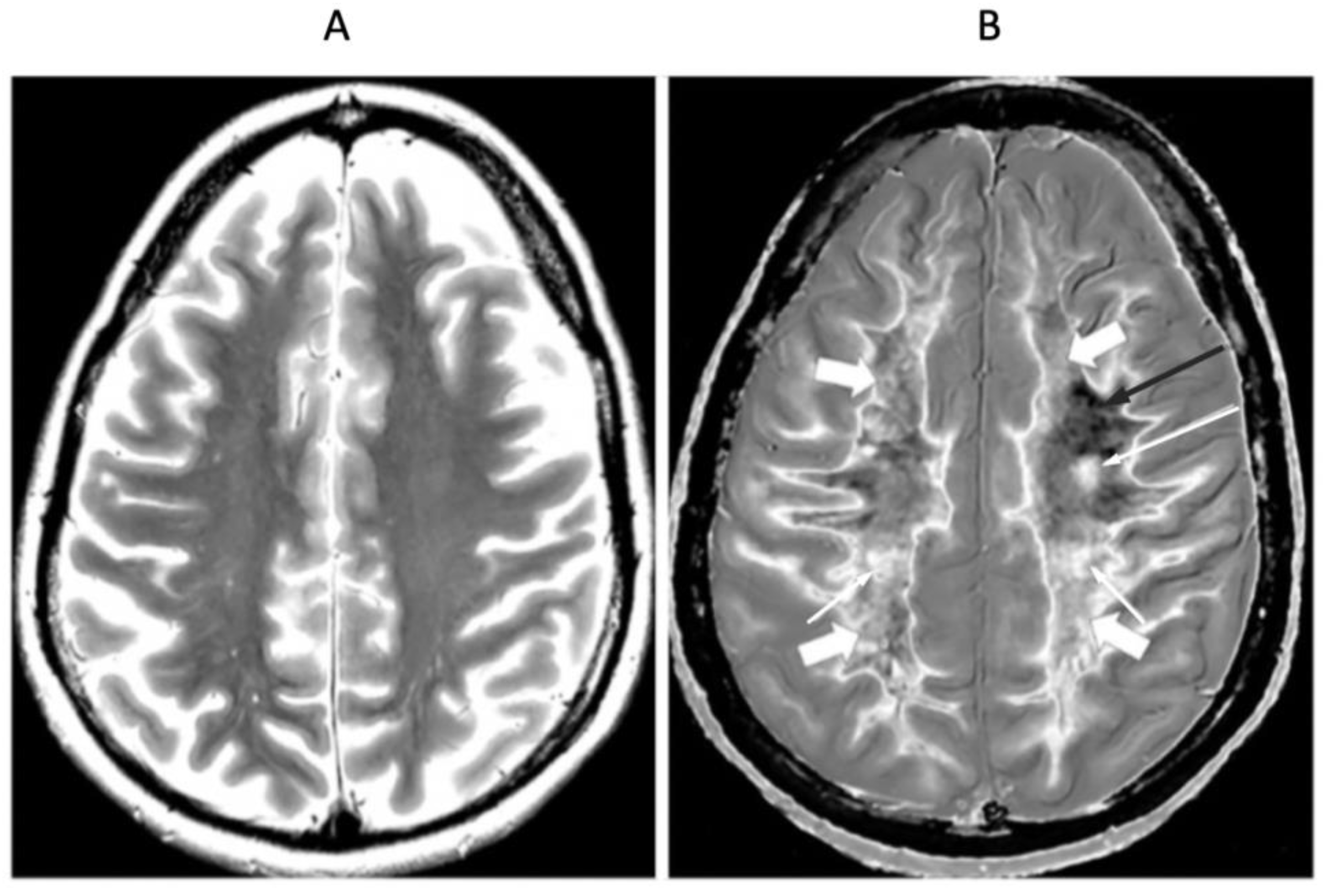 Diagnostics 15 00329 g007