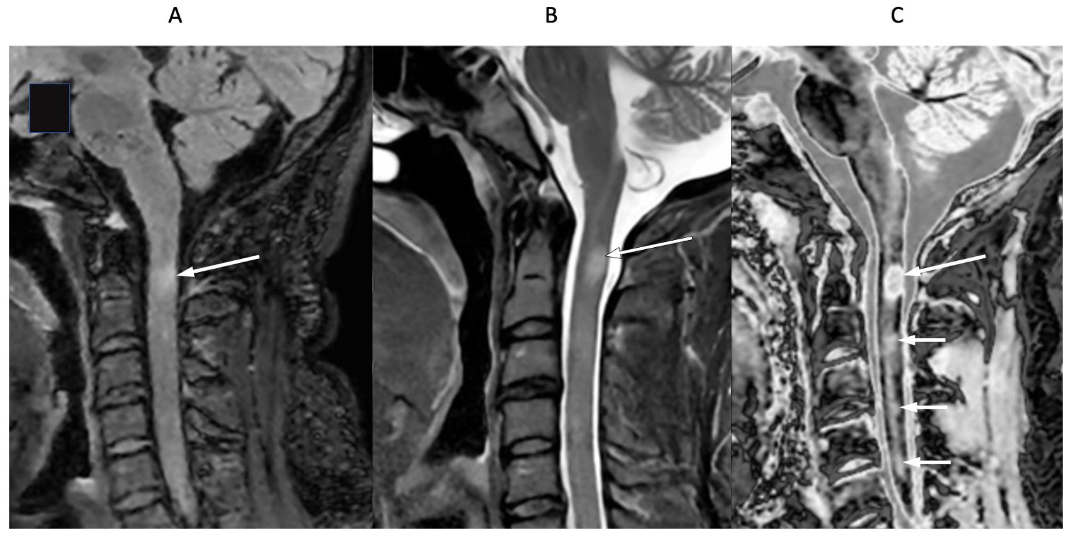 Diagnostics 15 00329 g016