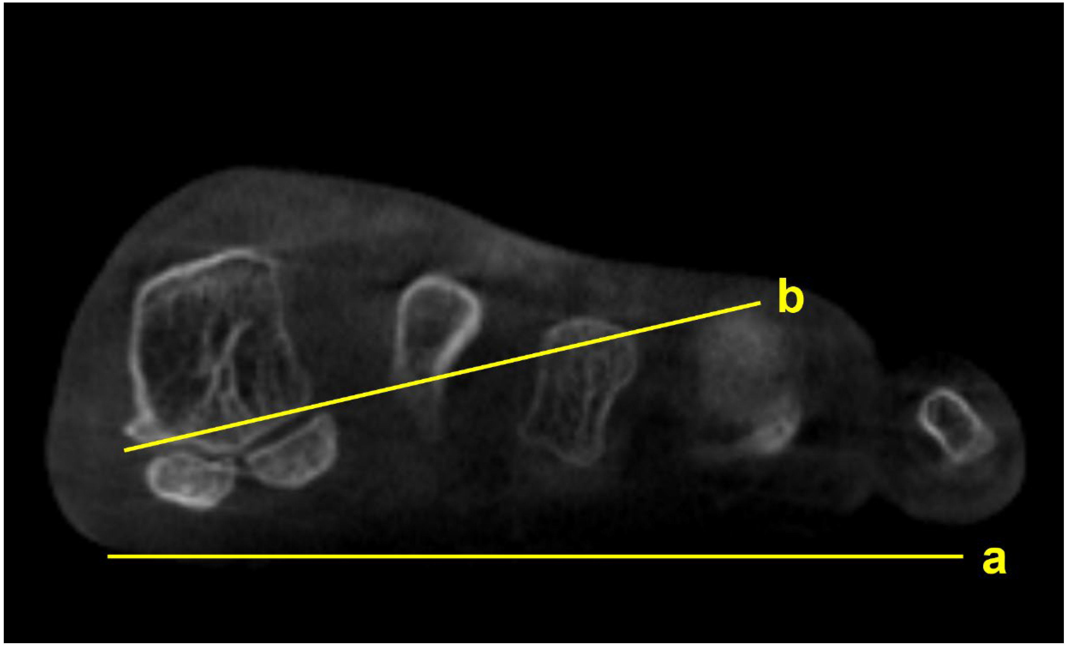Diagnostics 15 00343 g003
