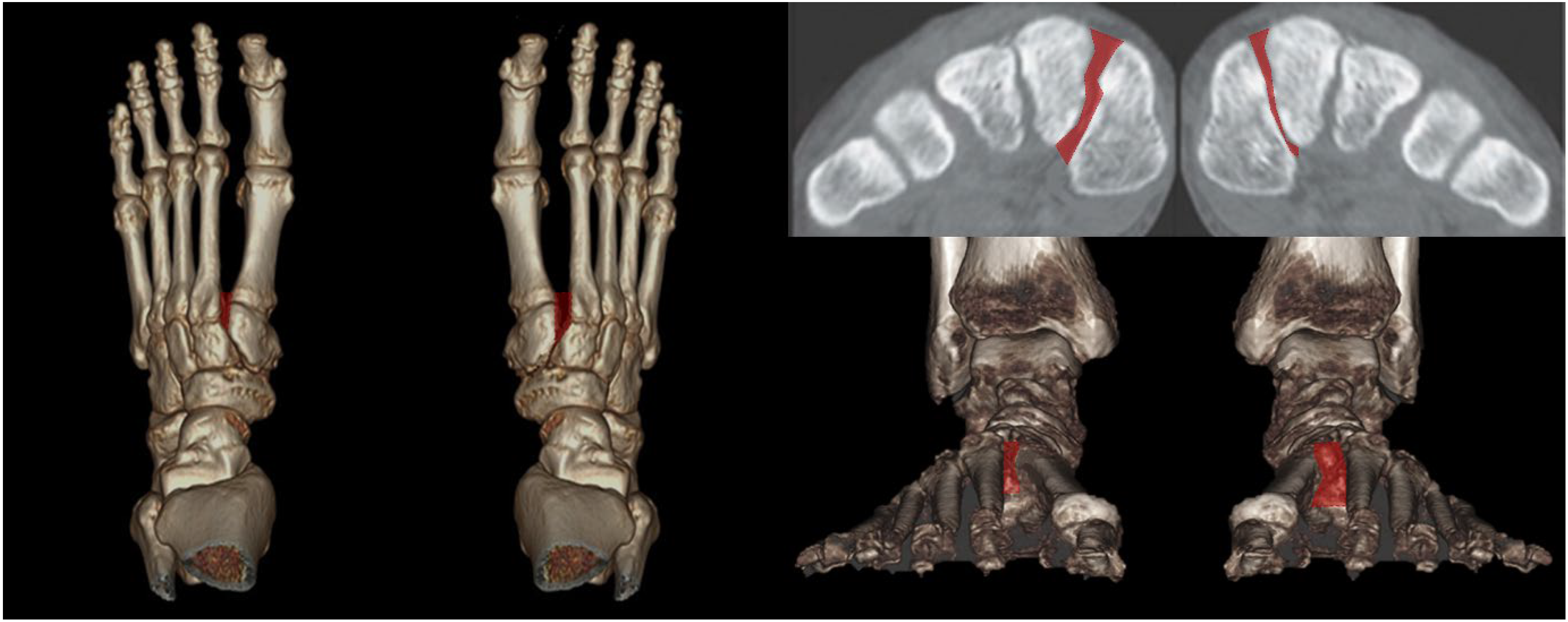 Diagnostics 15 00343 g005