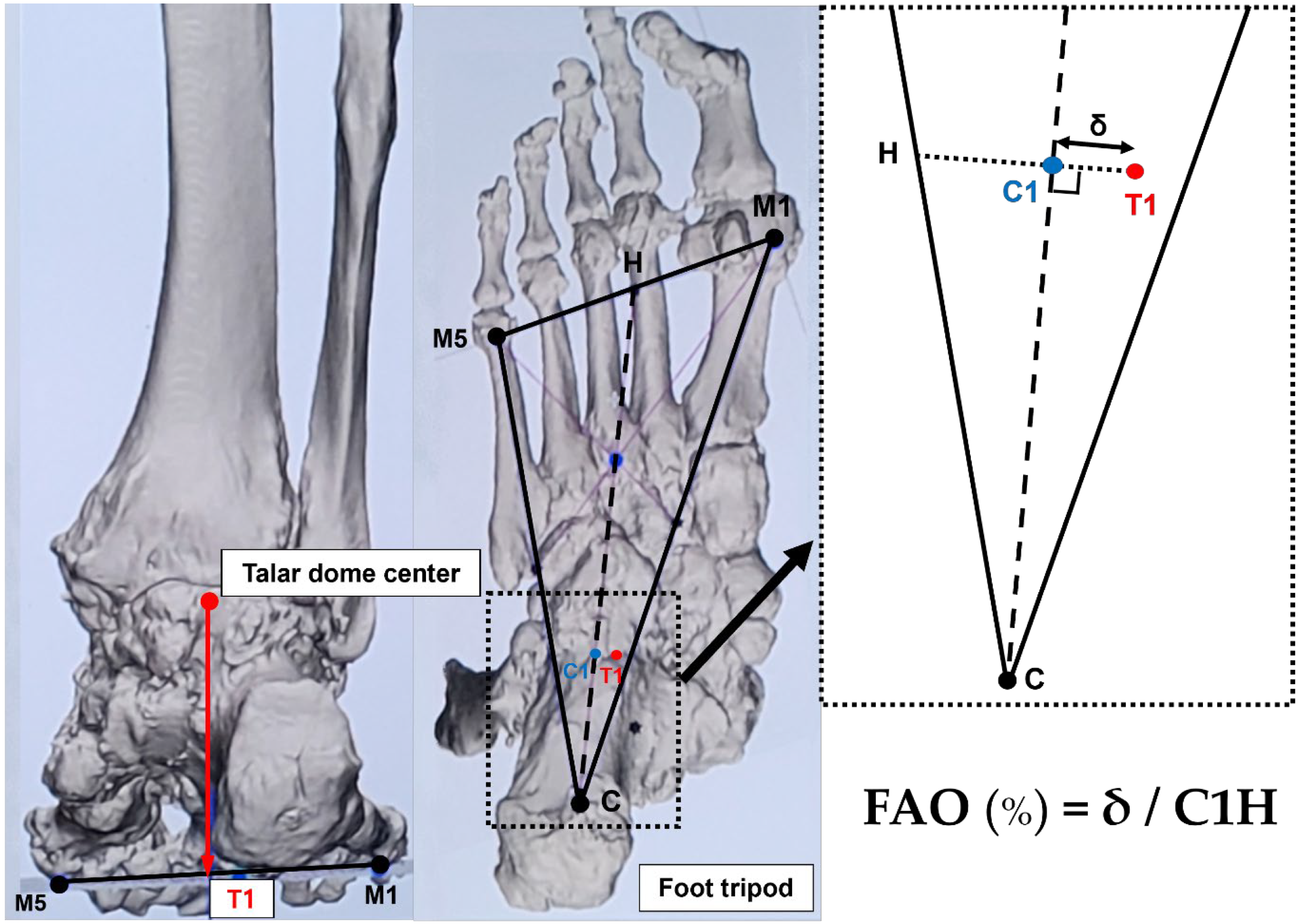 Diagnostics 15 00343 g007