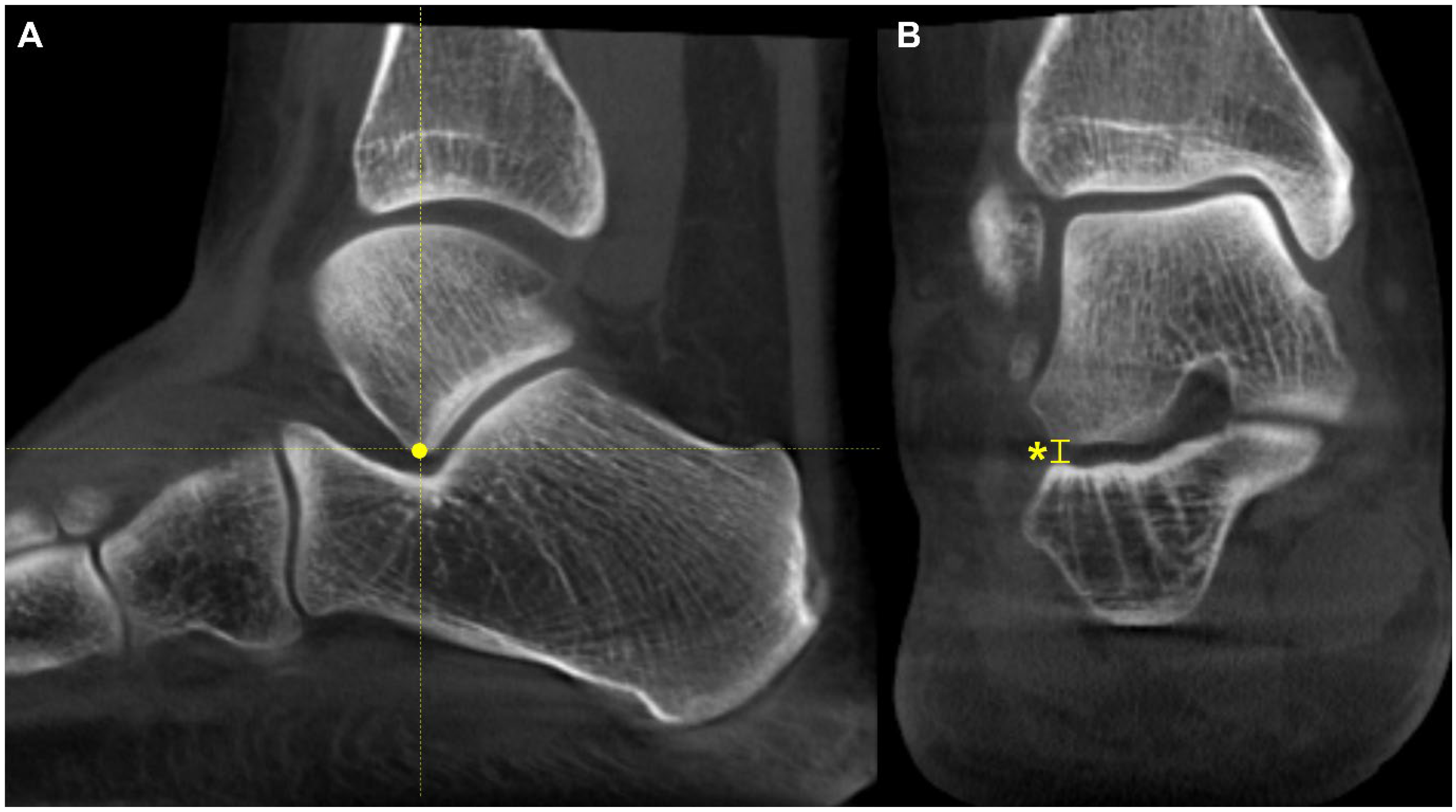Diagnostics 15 00343 g008