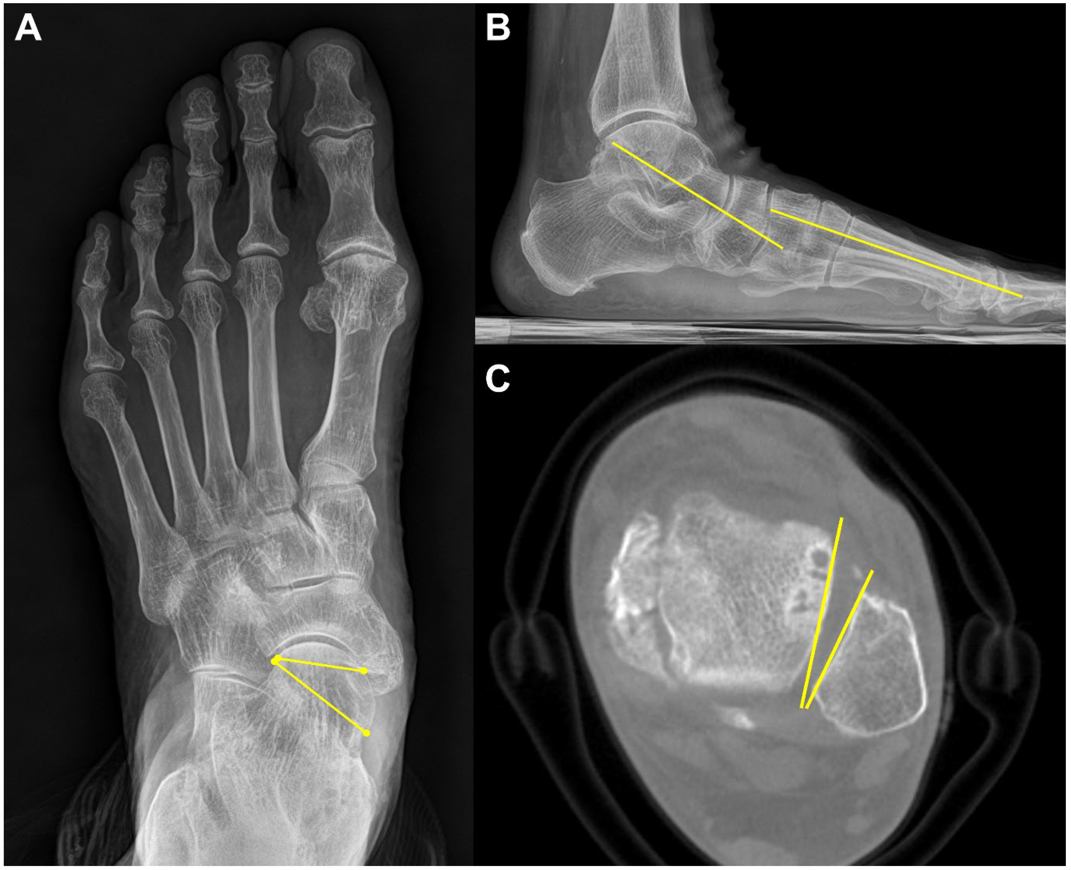 Diagnostics 15 00343 g009