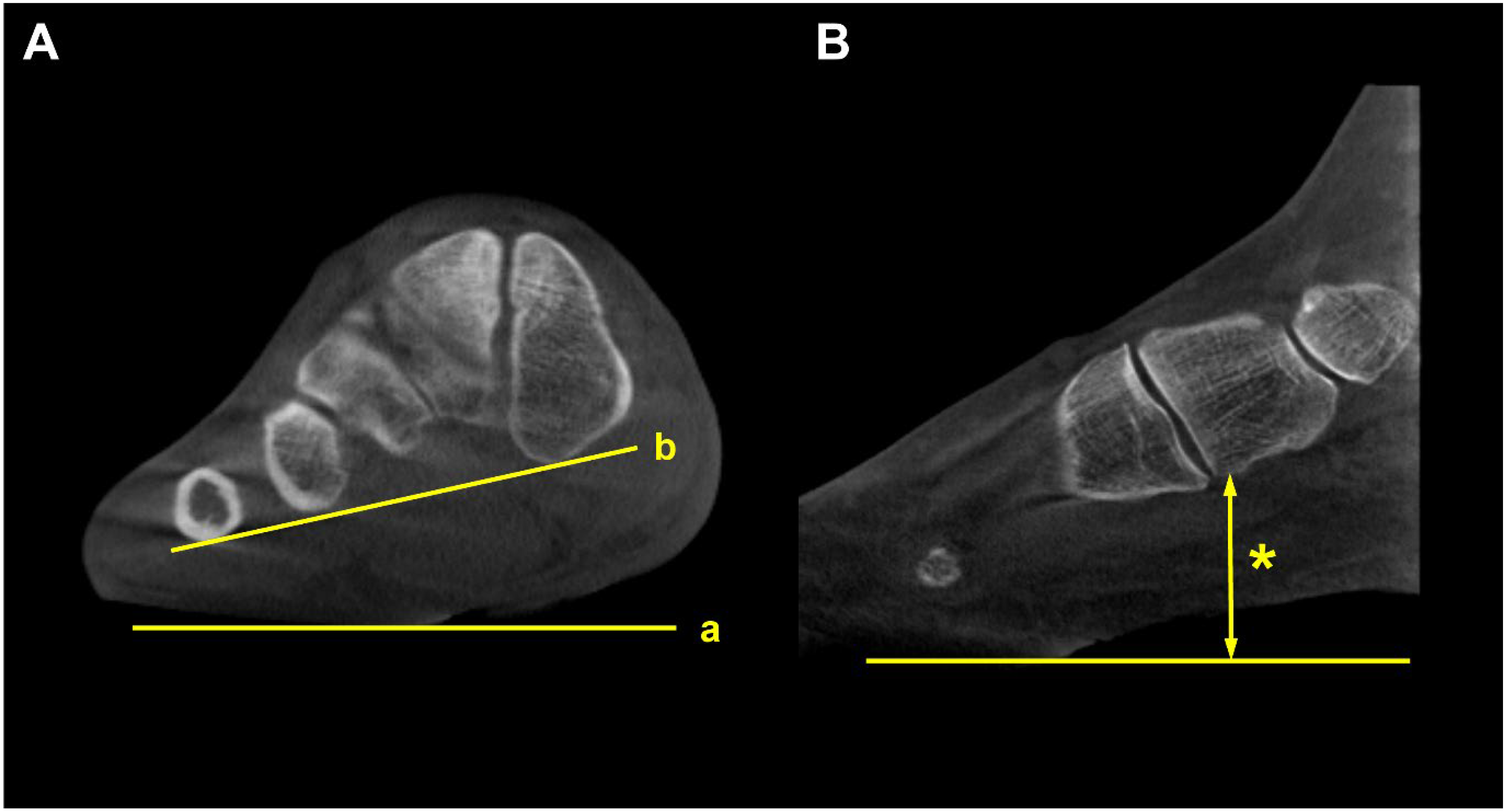 Diagnostics 15 00343 g010