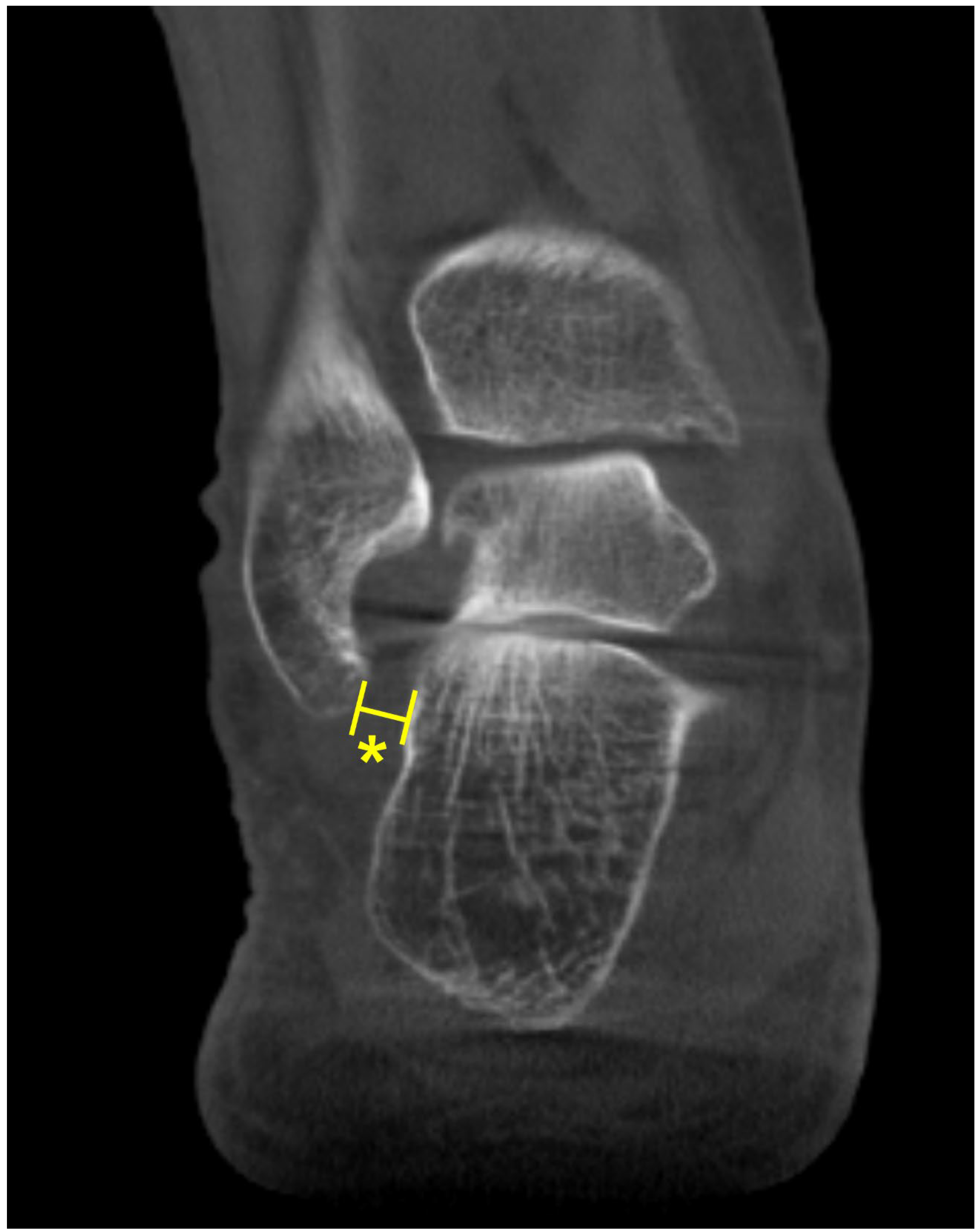 Diagnostics 15 00343 g012