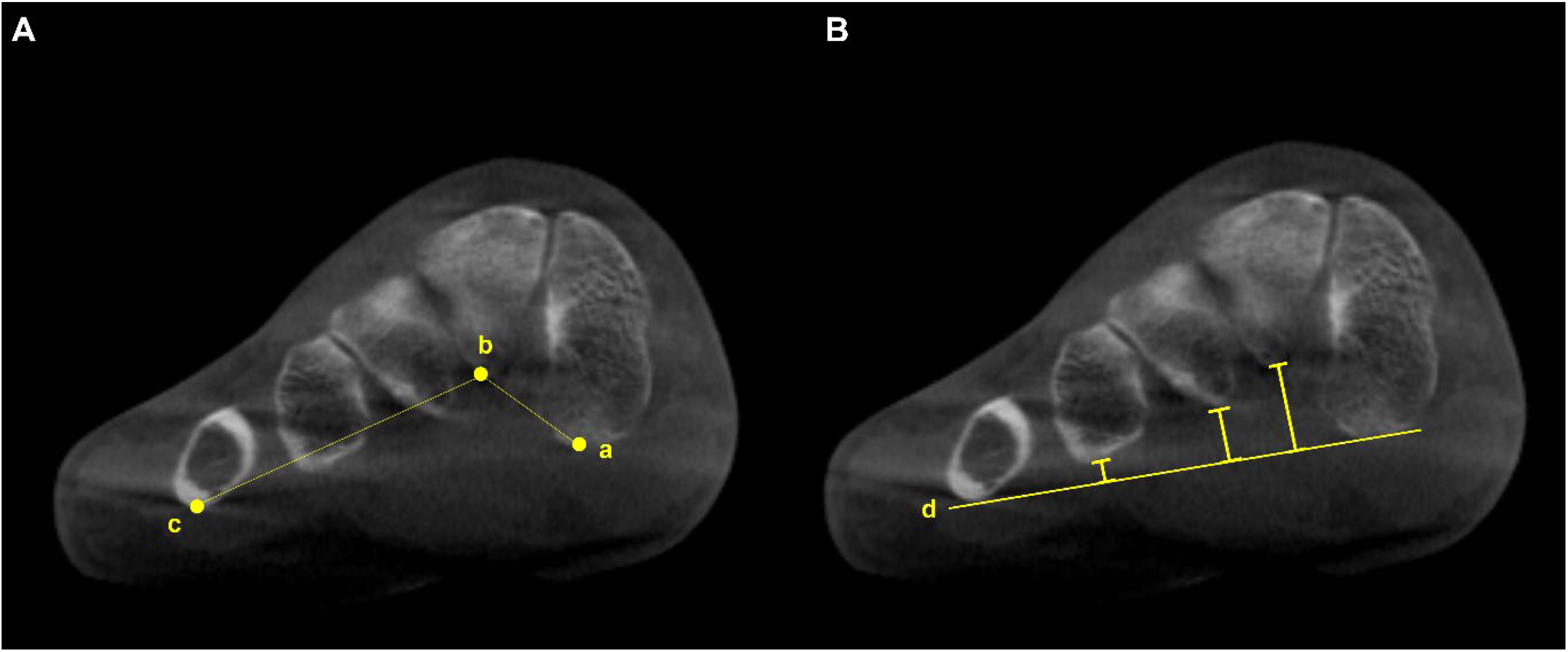 Diagnostics 15 00343 g013