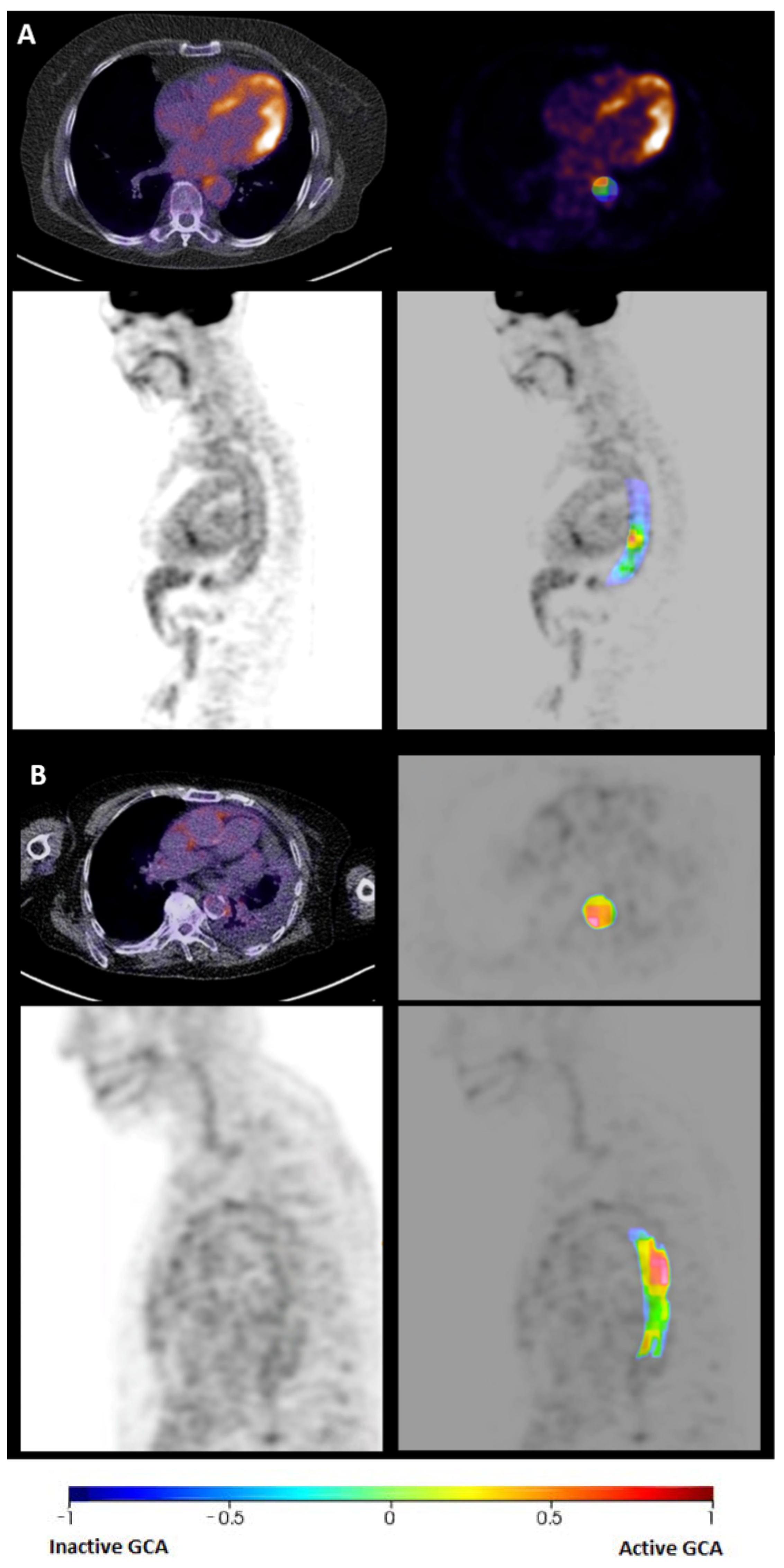 Diagnostics 15 00367 g004