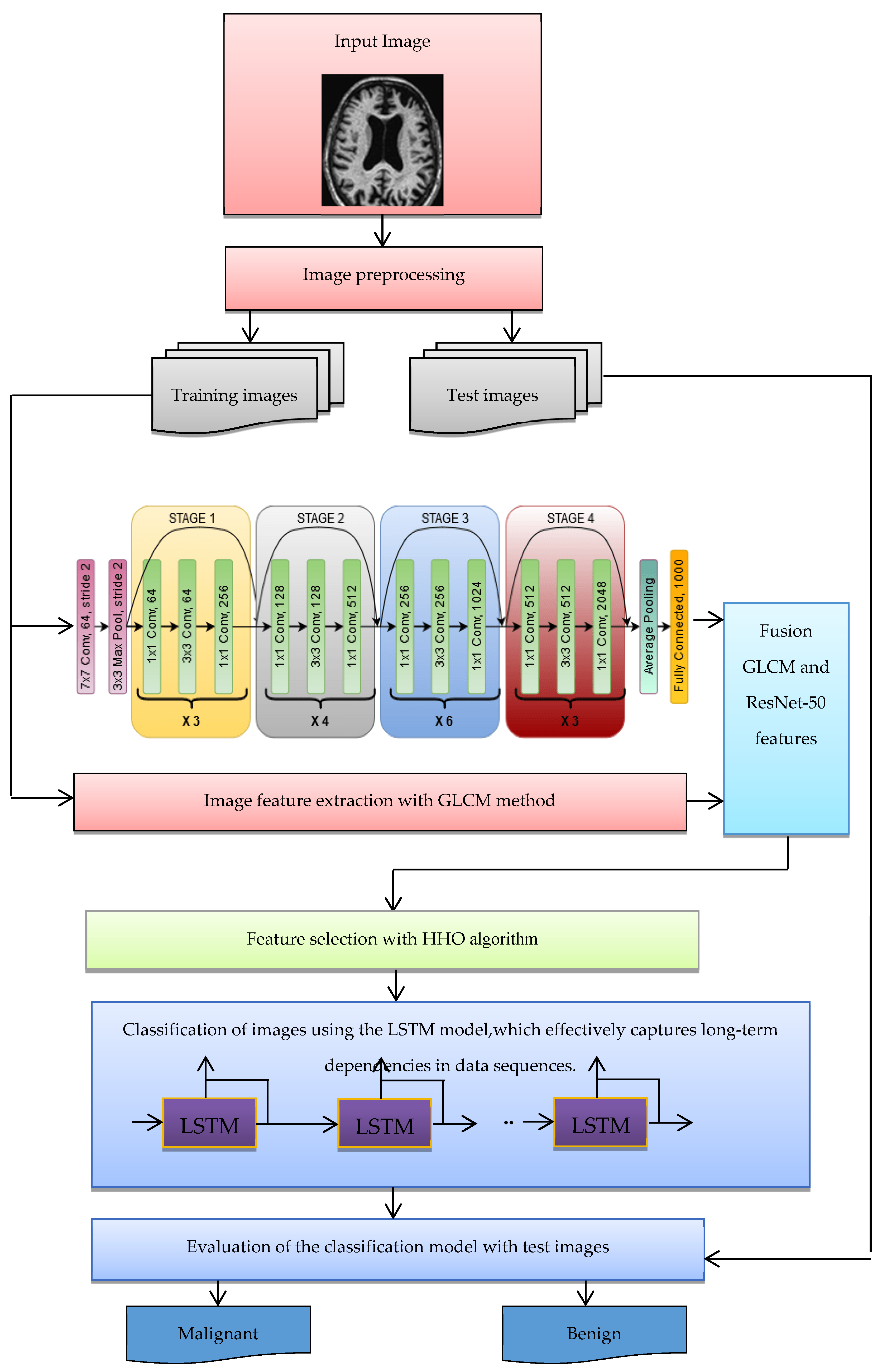 Diagnostics 15 00377 g003