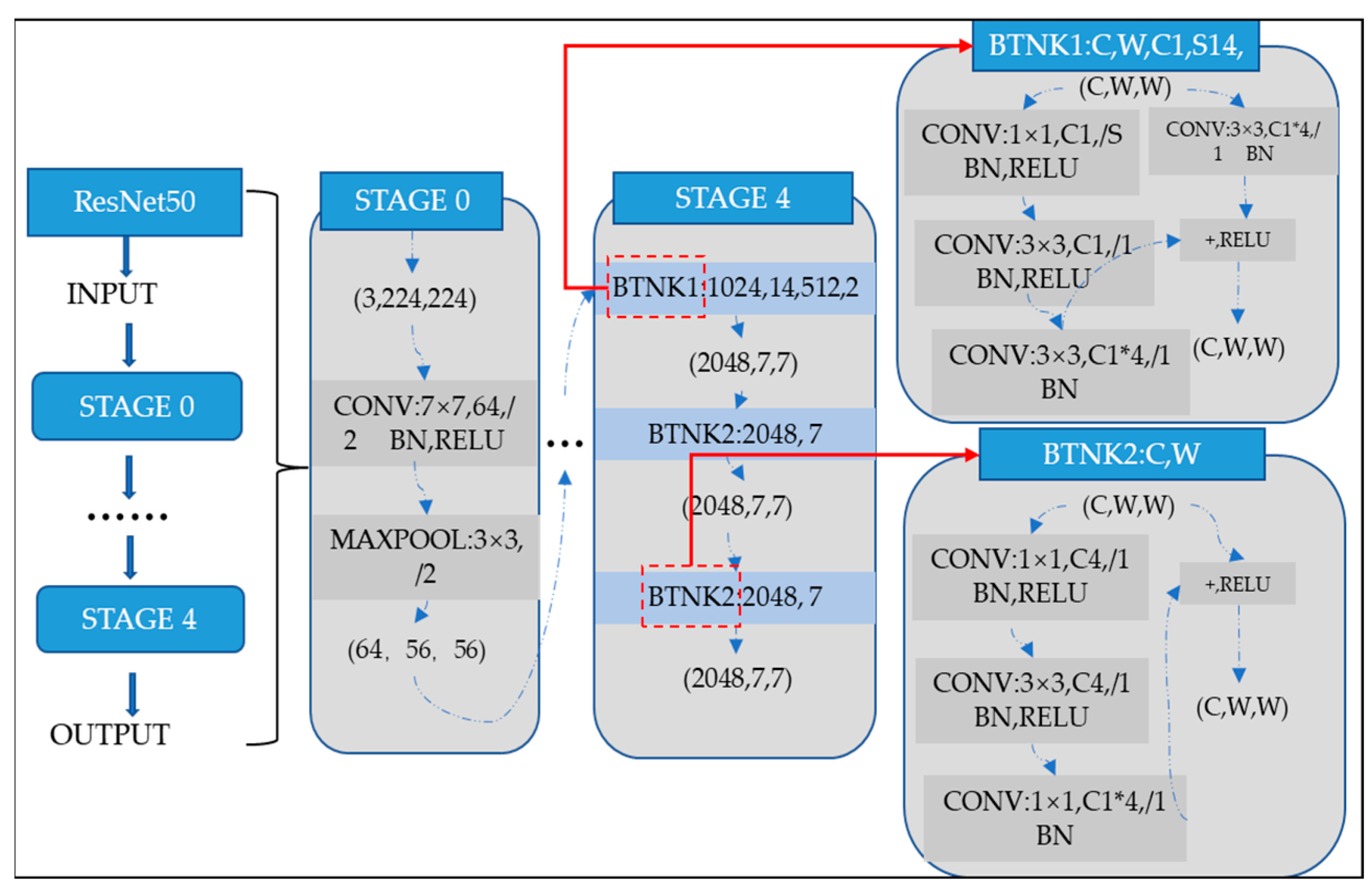 Diagnostics 15 00377 g005