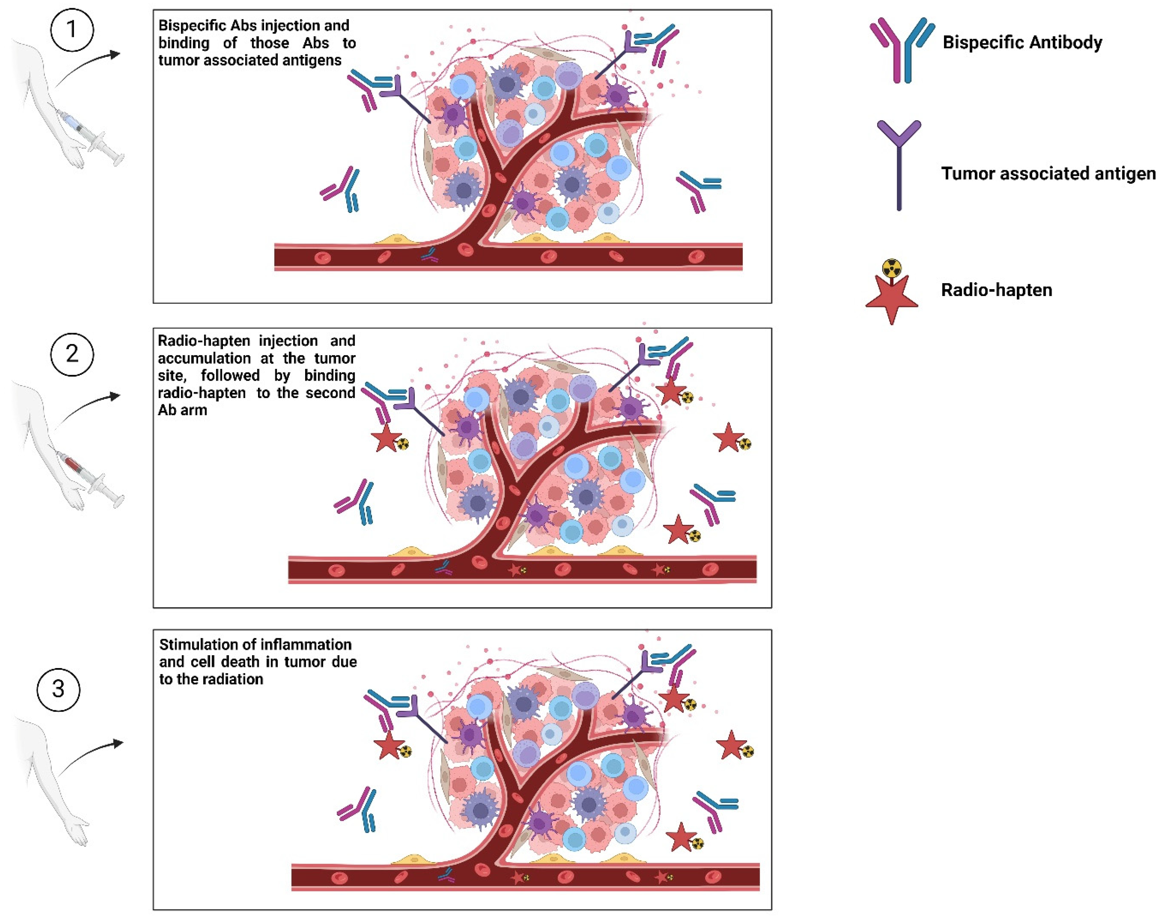 Diagnostics 15 00397 g004 Diagnostics 15 00397 g004