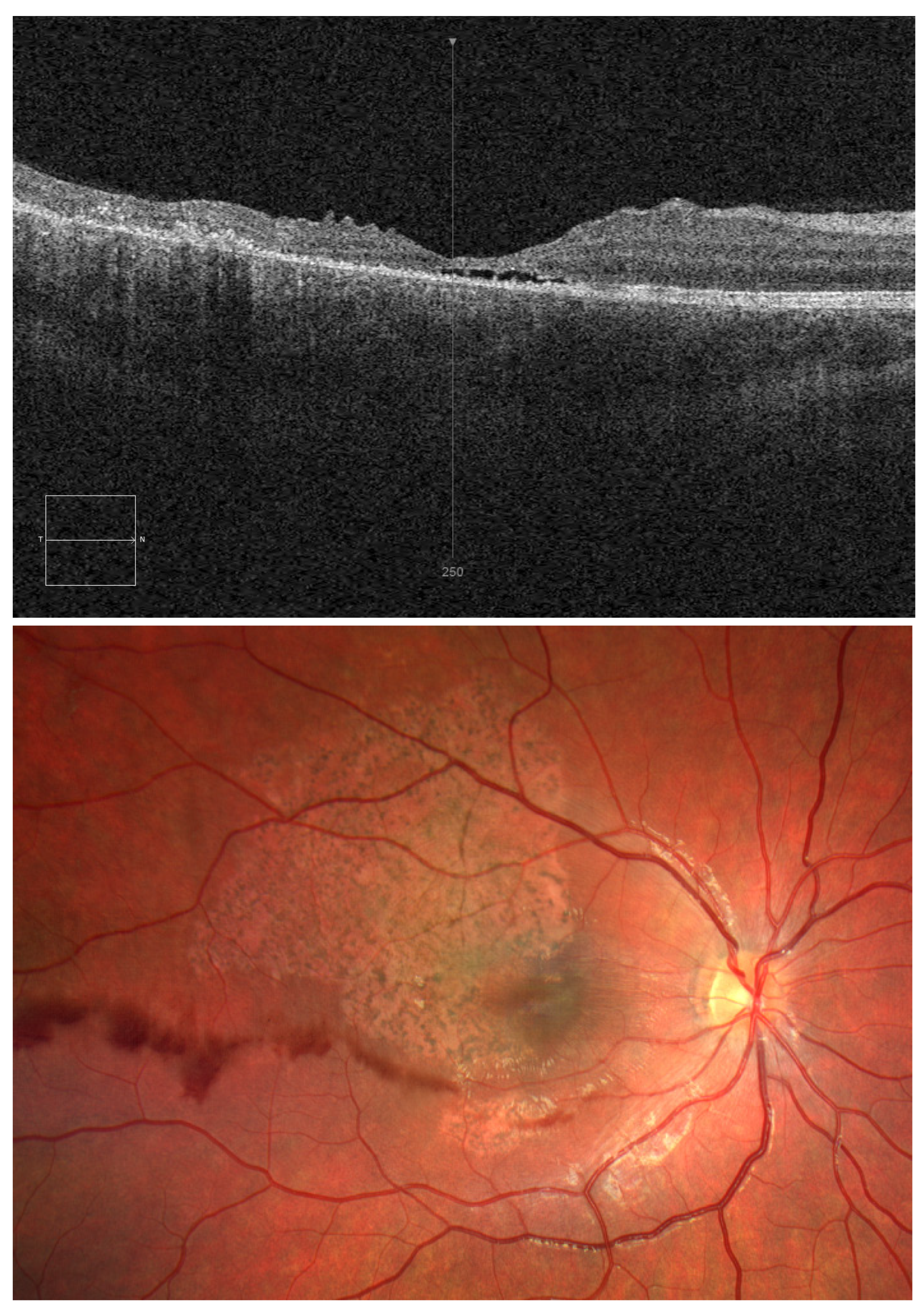 Diagnostics 15 00400 g002