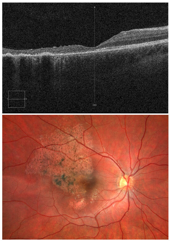 Diagnostics 15 00400 g003