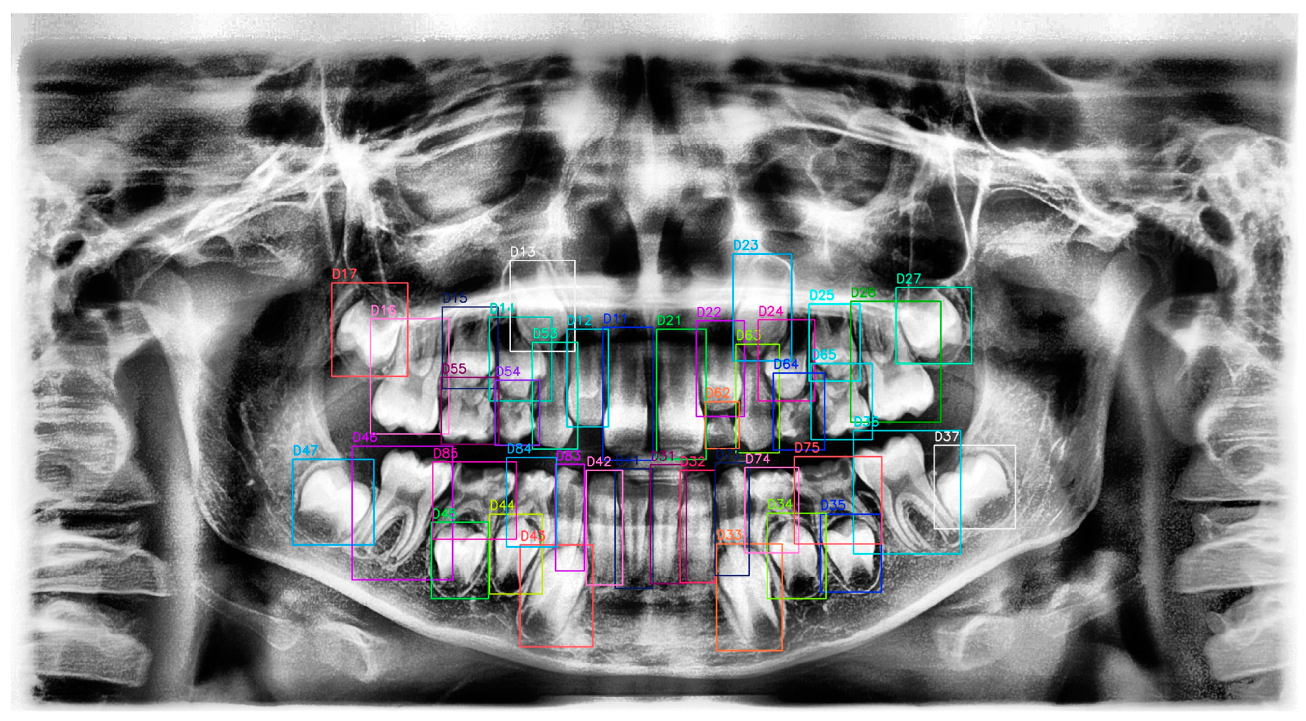 Diagnostics 15 00405 g002