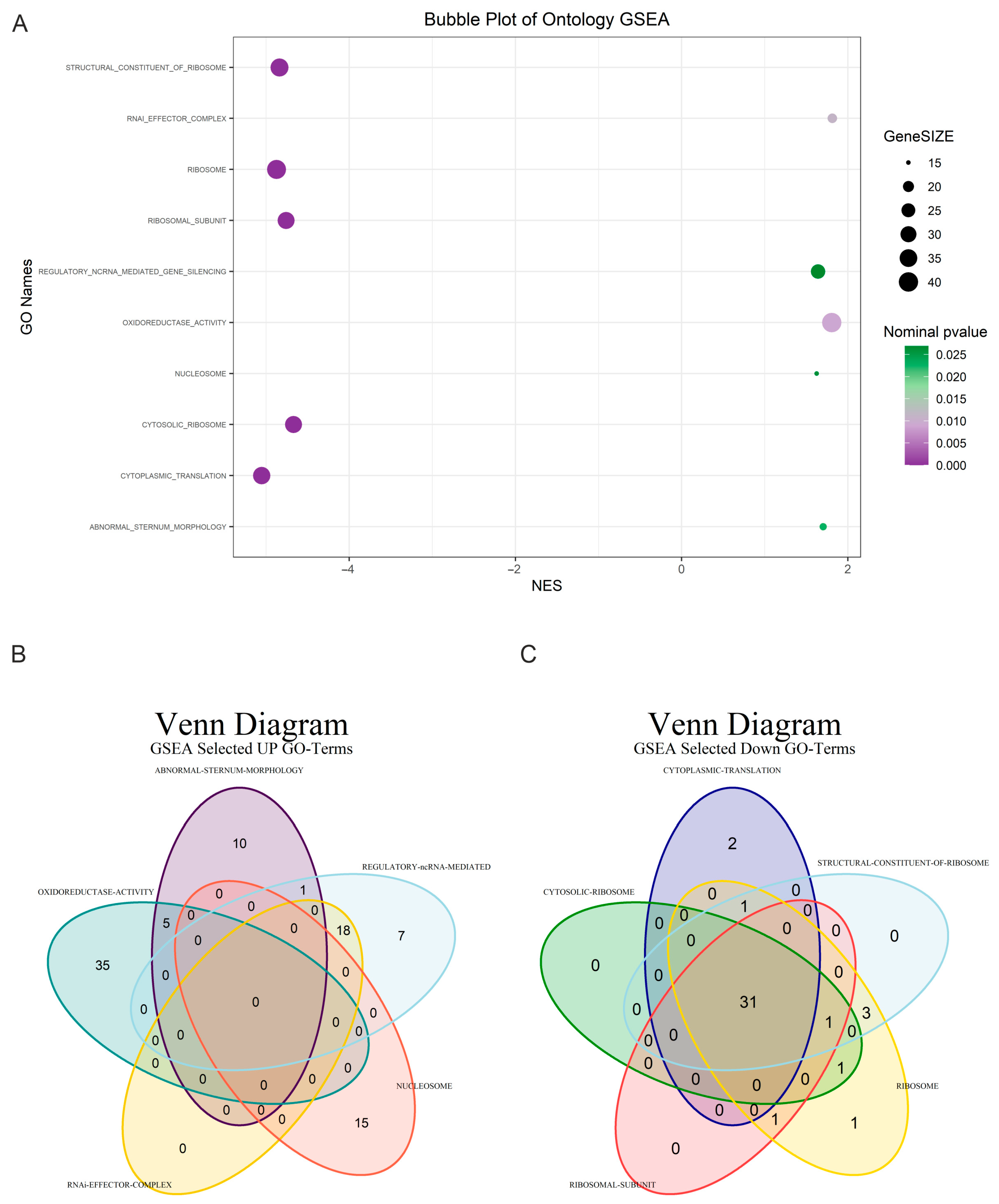 Diagnostics 15 00409 g003
