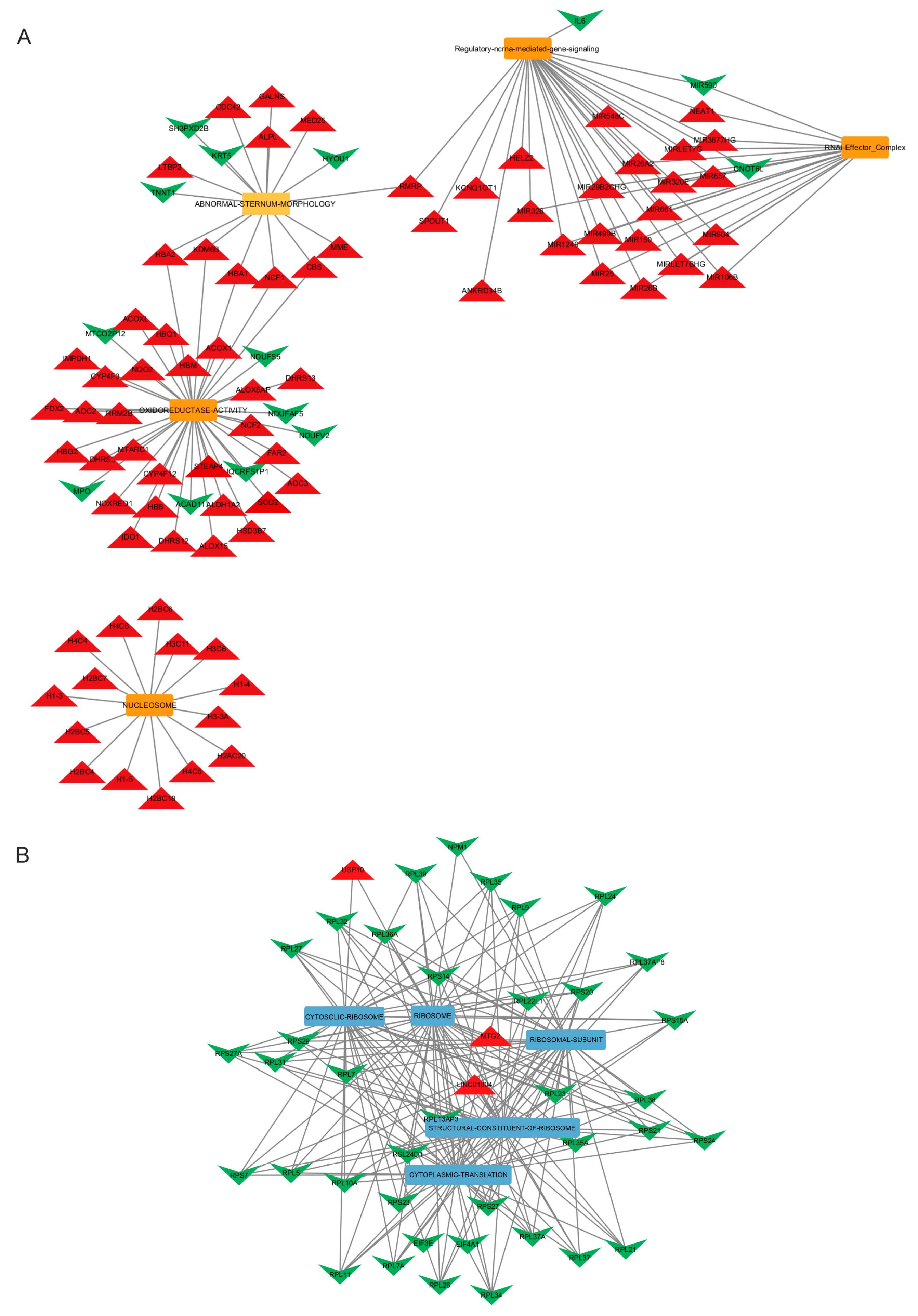 Diagnostics 15 00409 g004
