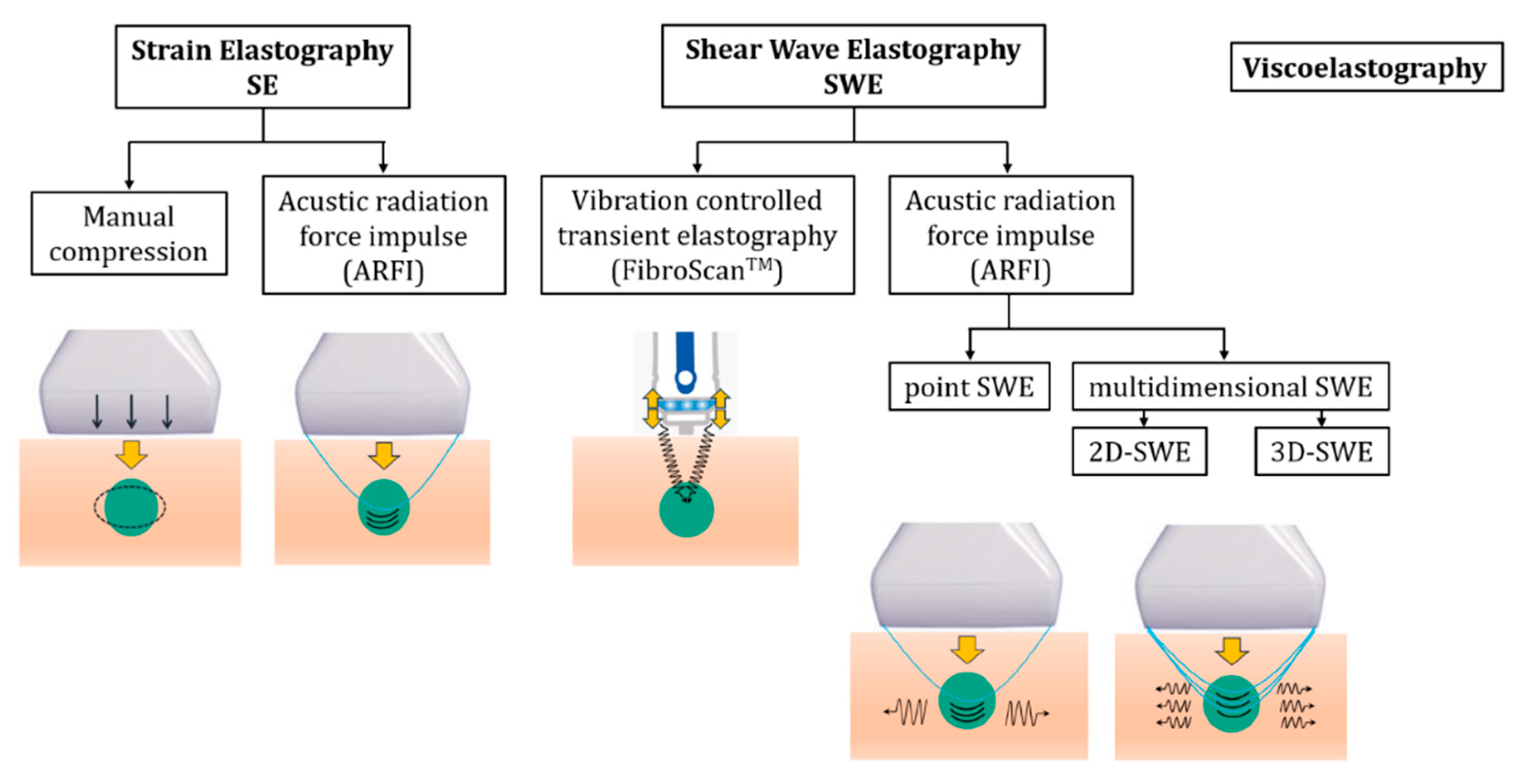 Diagnostics 15 00411 g001