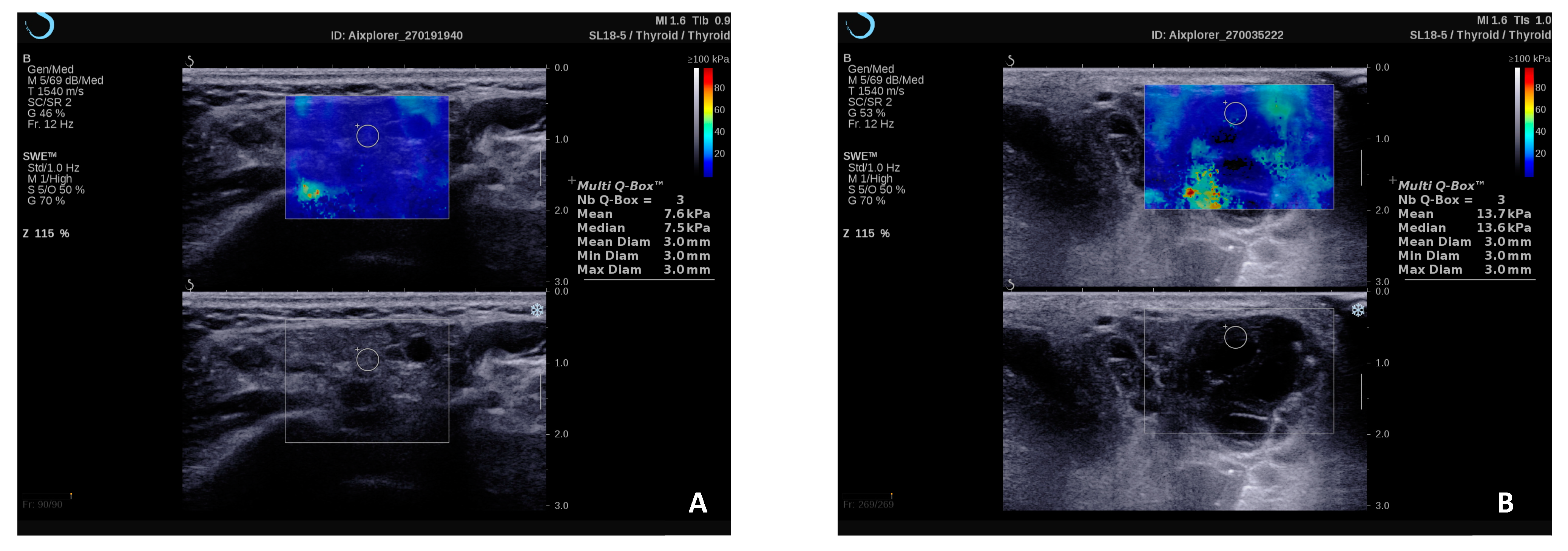 Diagnostics 15 00411 g003