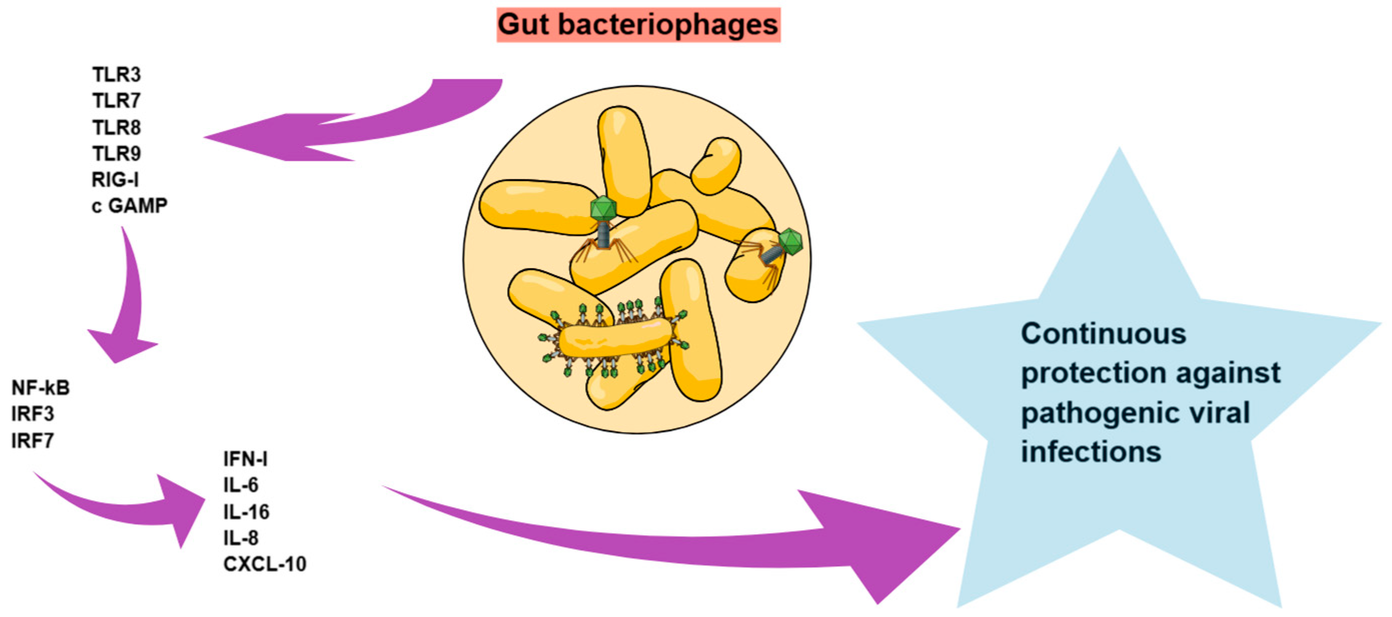 Diagnostics 15 00413 g002 Diagnostics 15 00413 g002