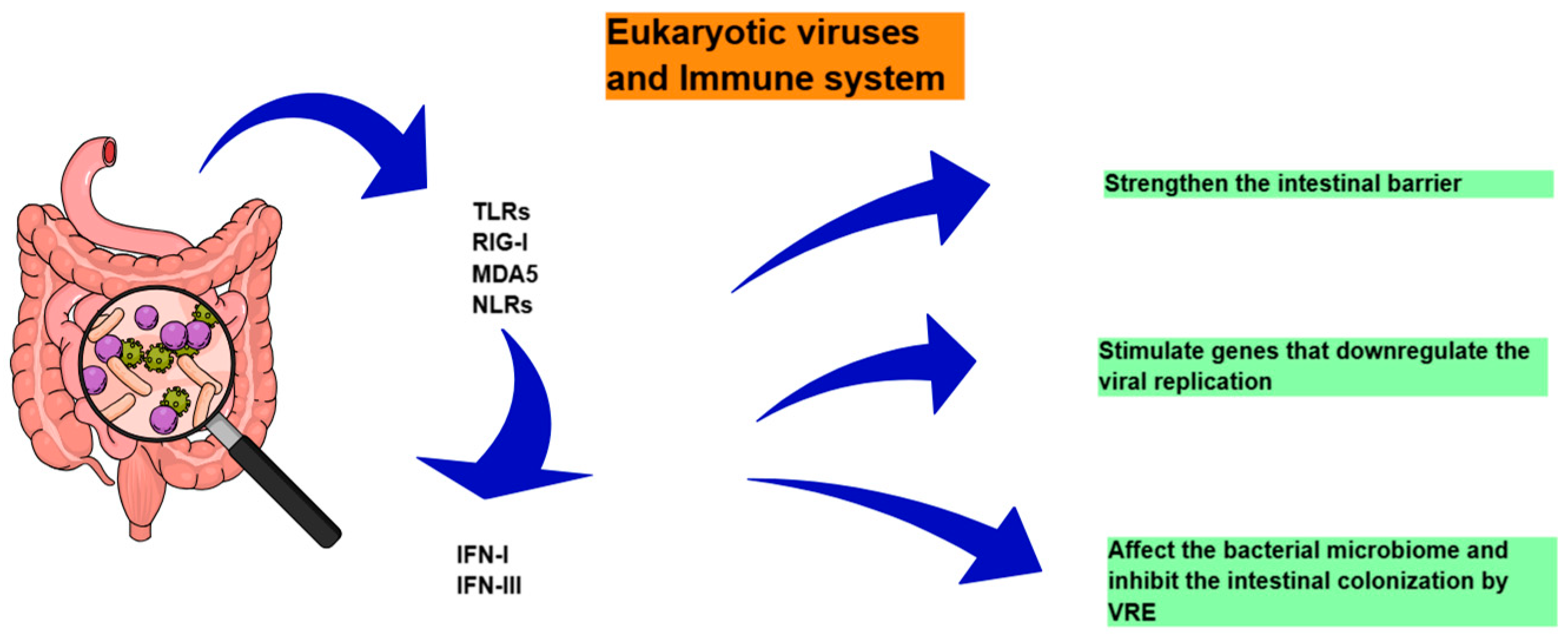 Diagnostics 15 00413 g003 Diagnostics 15 00413 g003