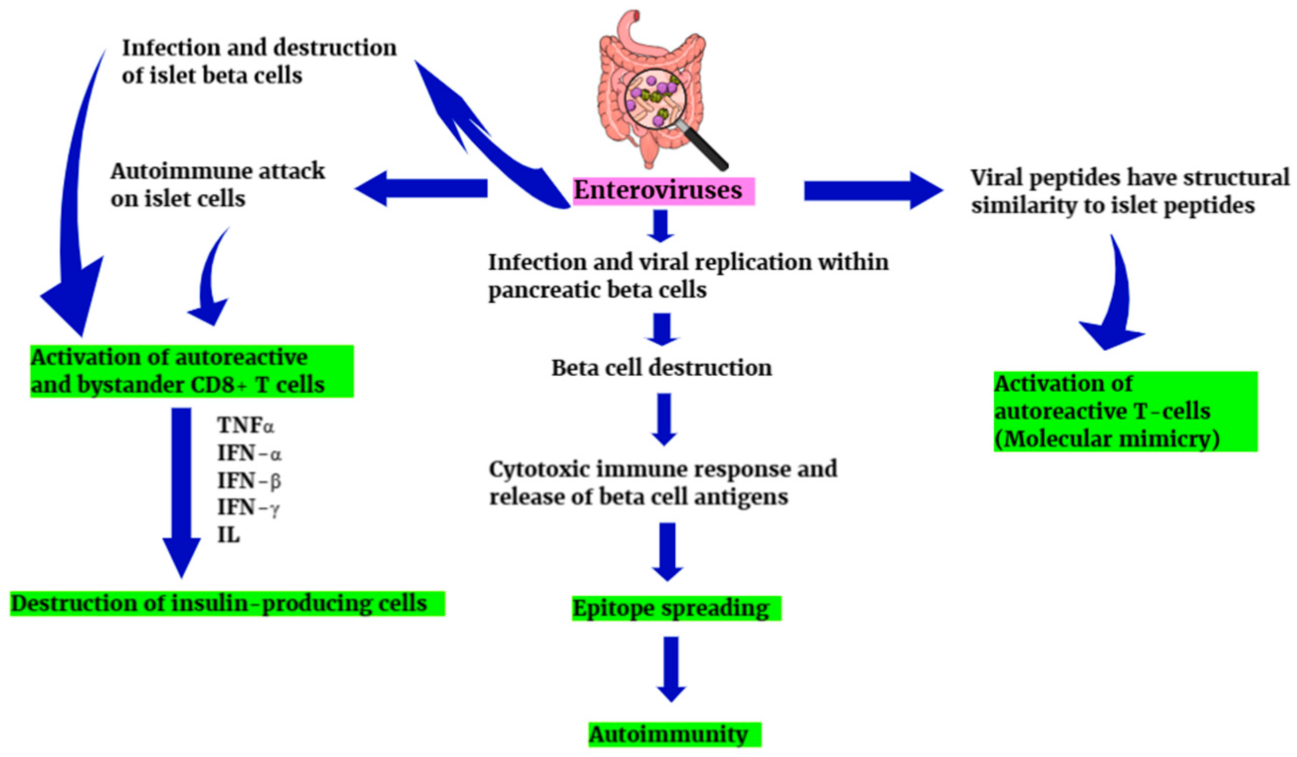 Diagnostics 15 00413 g004 Diagnostics 15 00413 g004