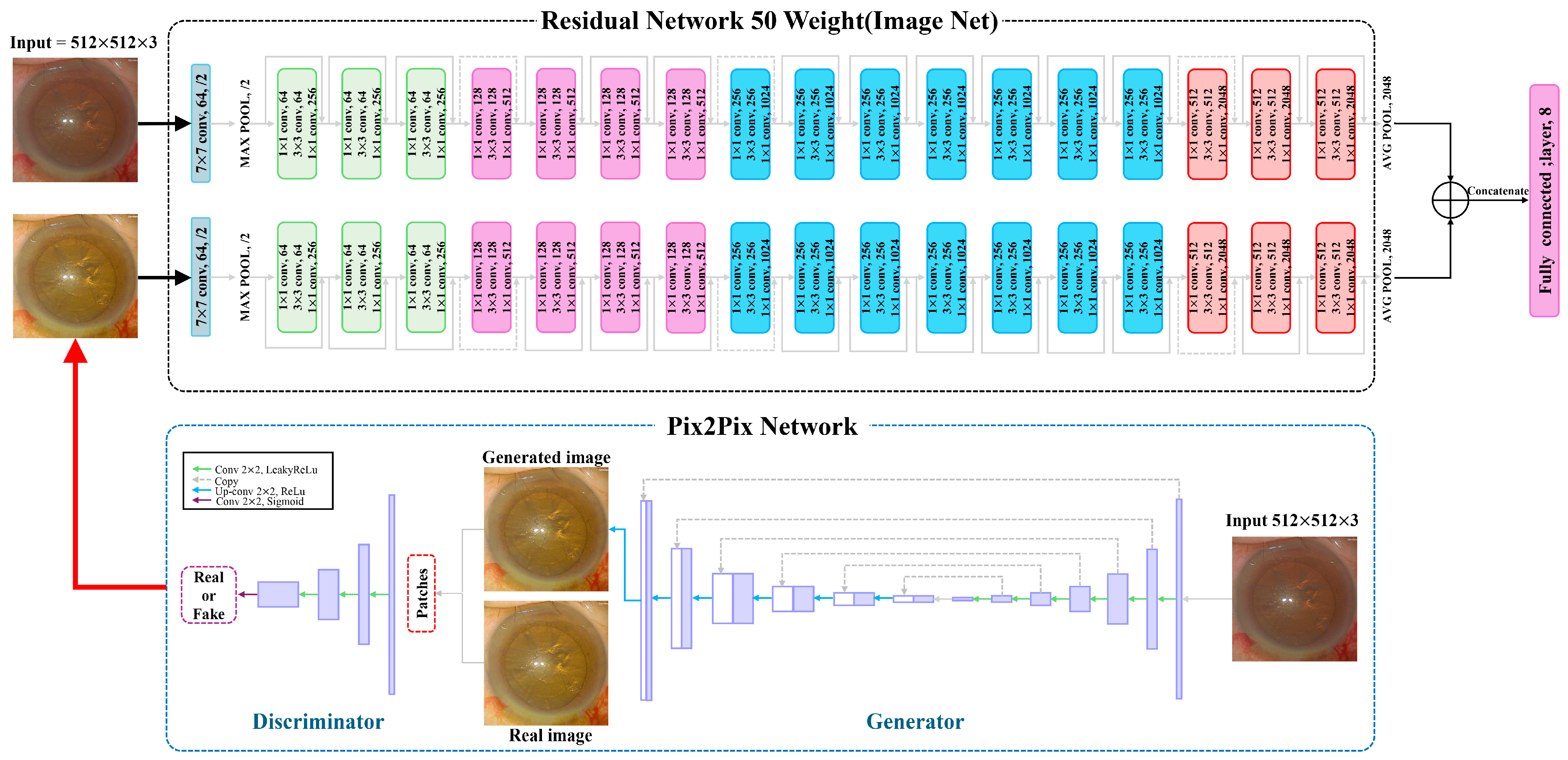 Diagnostics 15 00445 g003