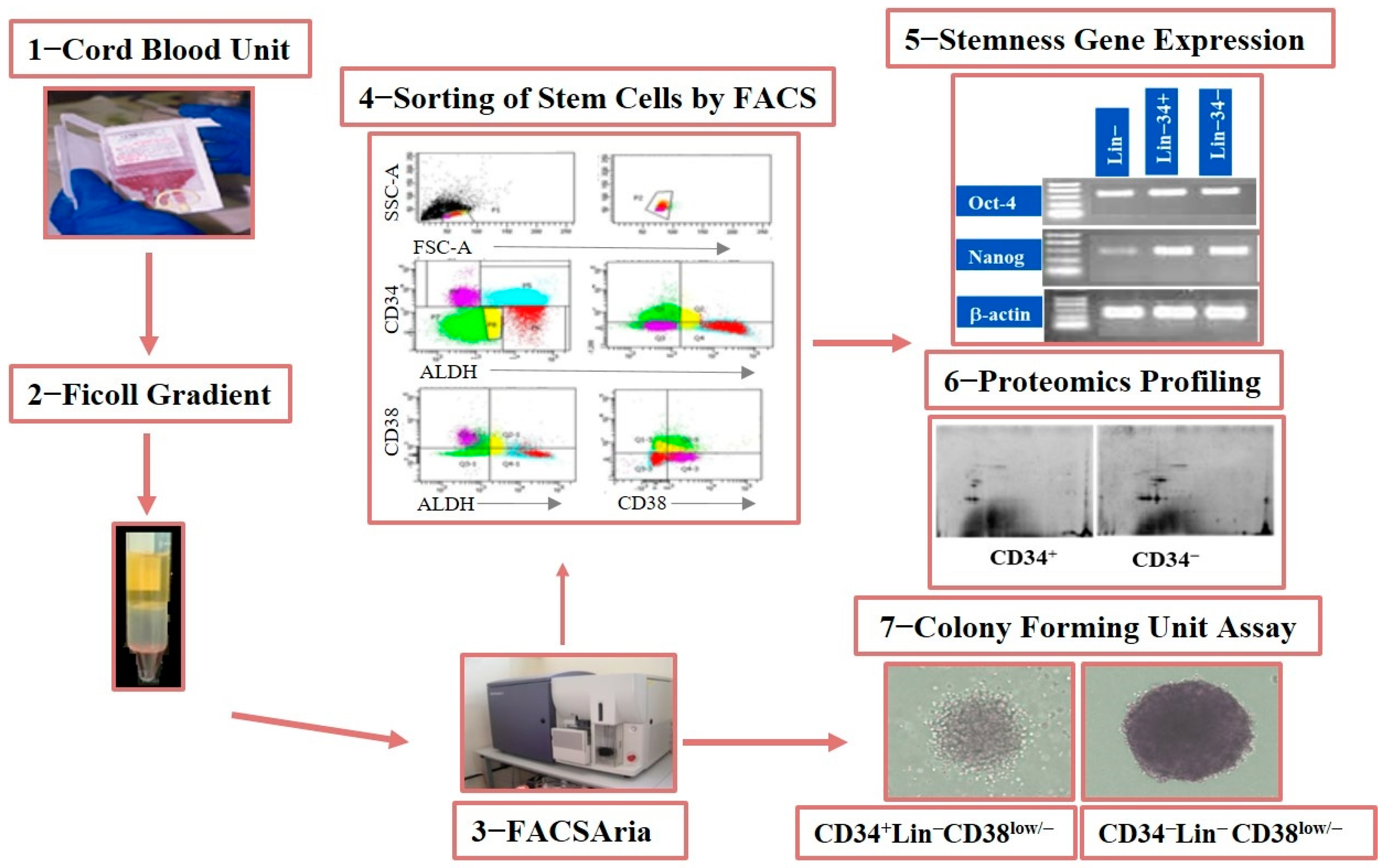 Diagnostics 15 00447 g001 Diagnostics 15 00447 g001