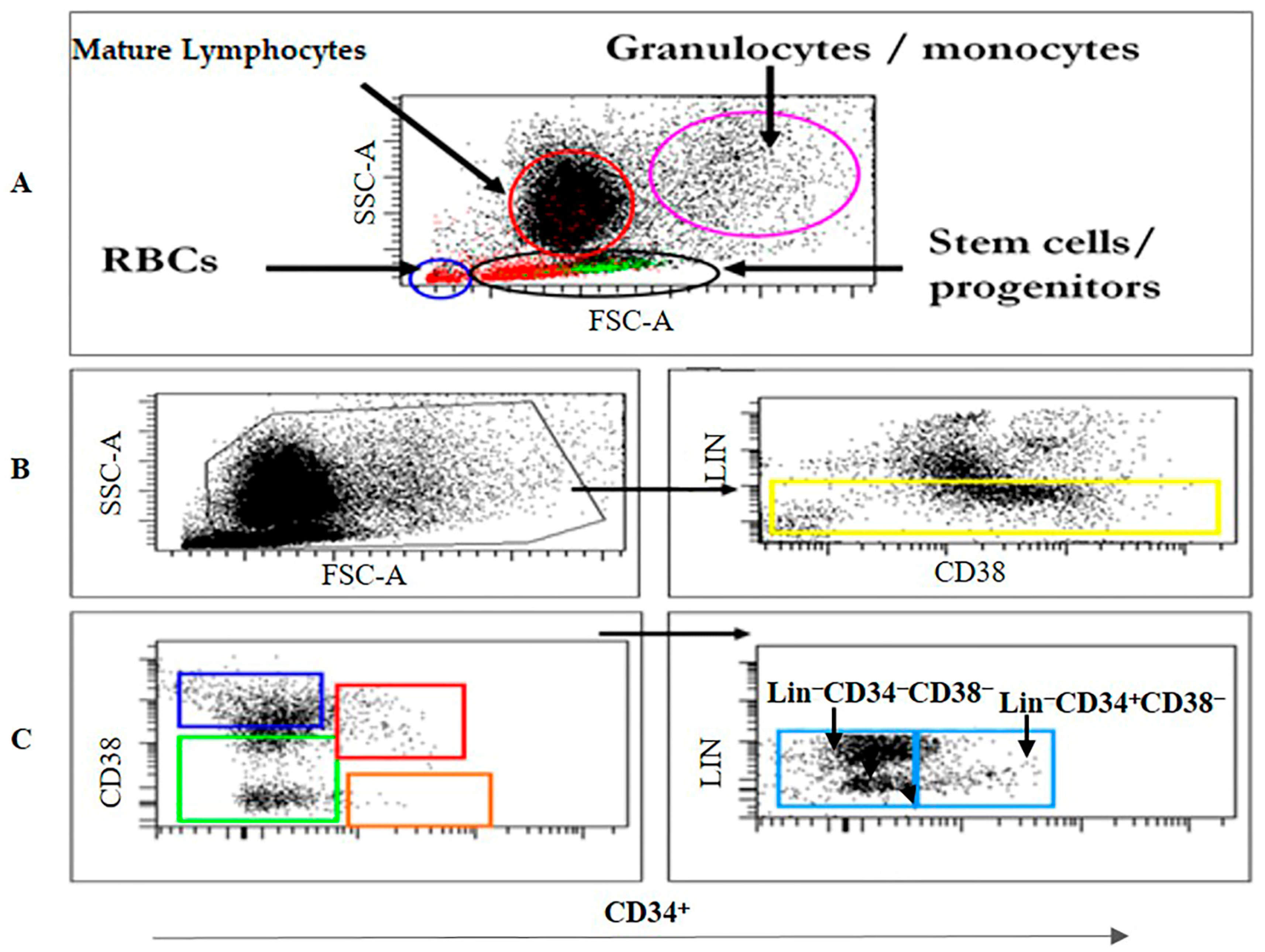 Diagnostics 15 00447 g002 Diagnostics 15 00447 g002