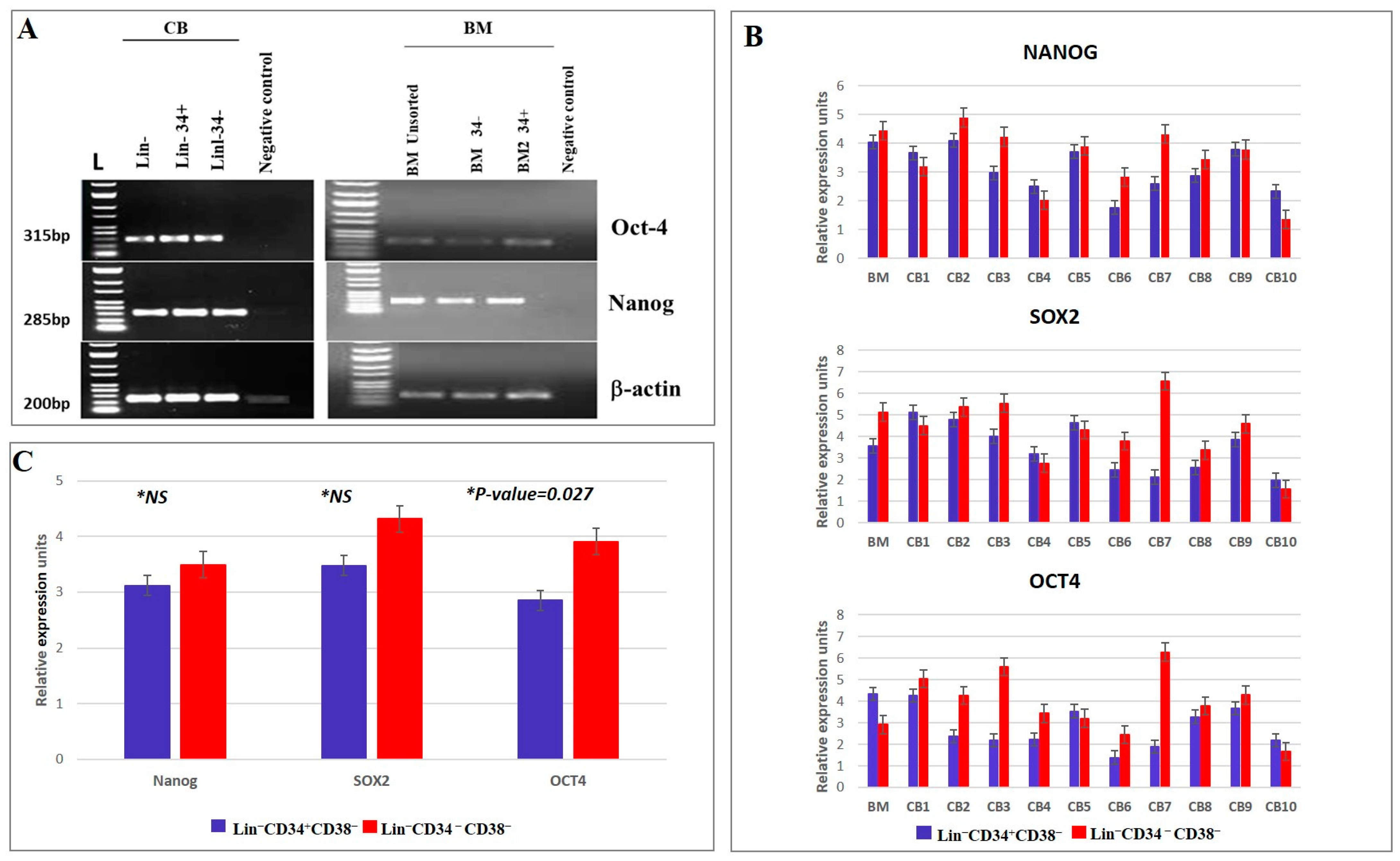 Diagnostics 15 00447 g004 Diagnostics 15 00447 g004