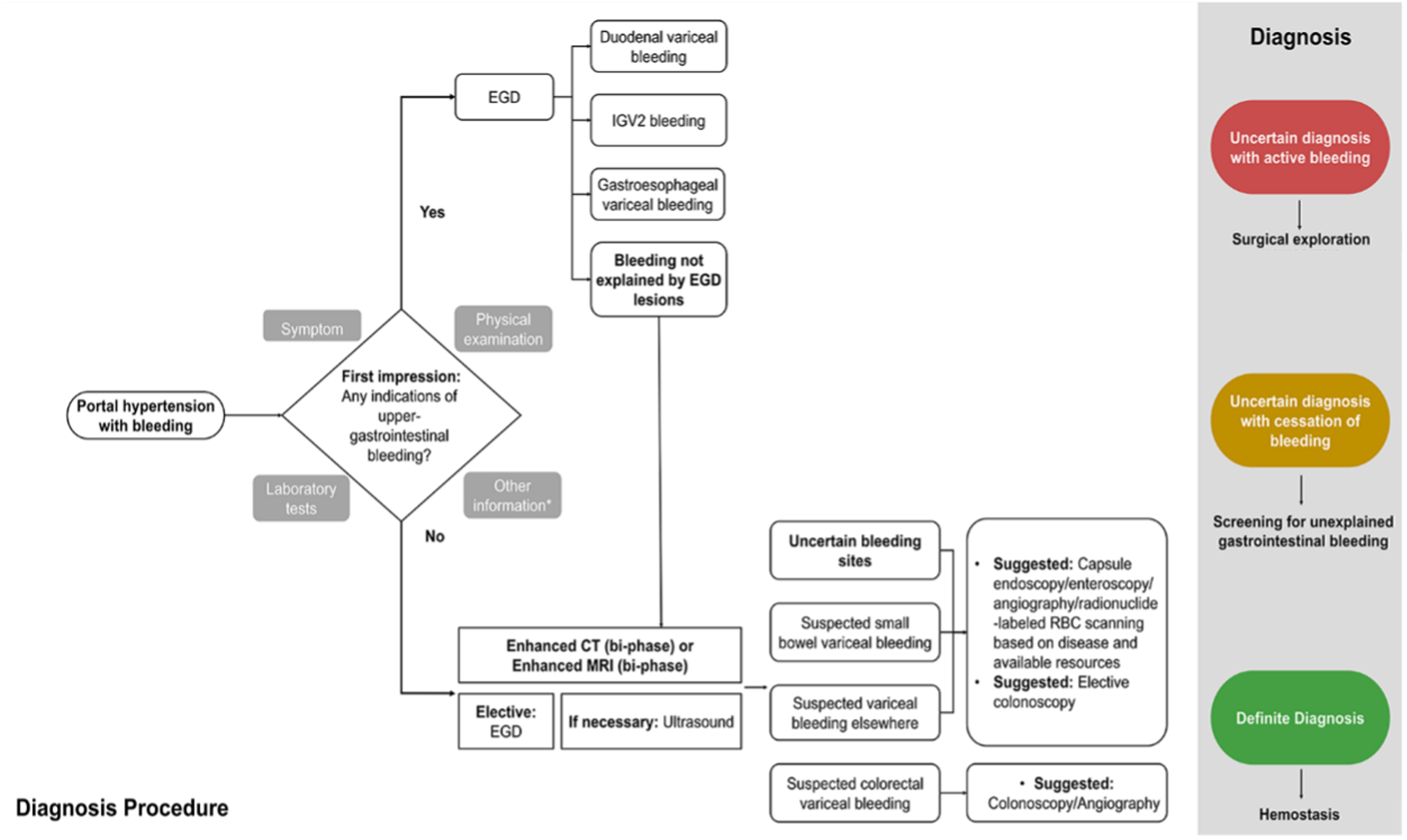 Diagnostics 15 00461 g003