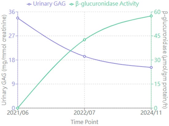 Diagnostics 15 00464 g002