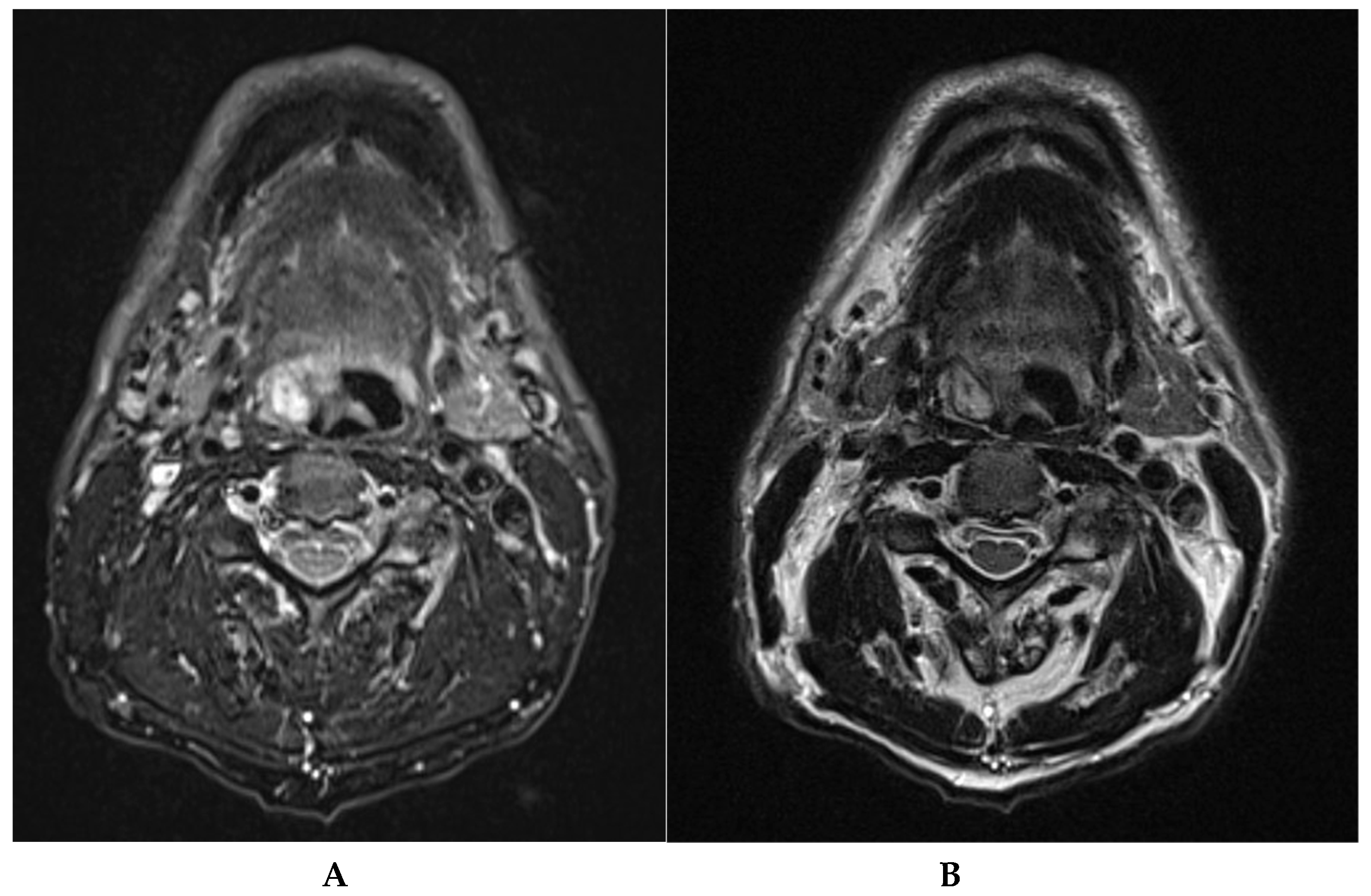 Diagnostics 15 00484 g001