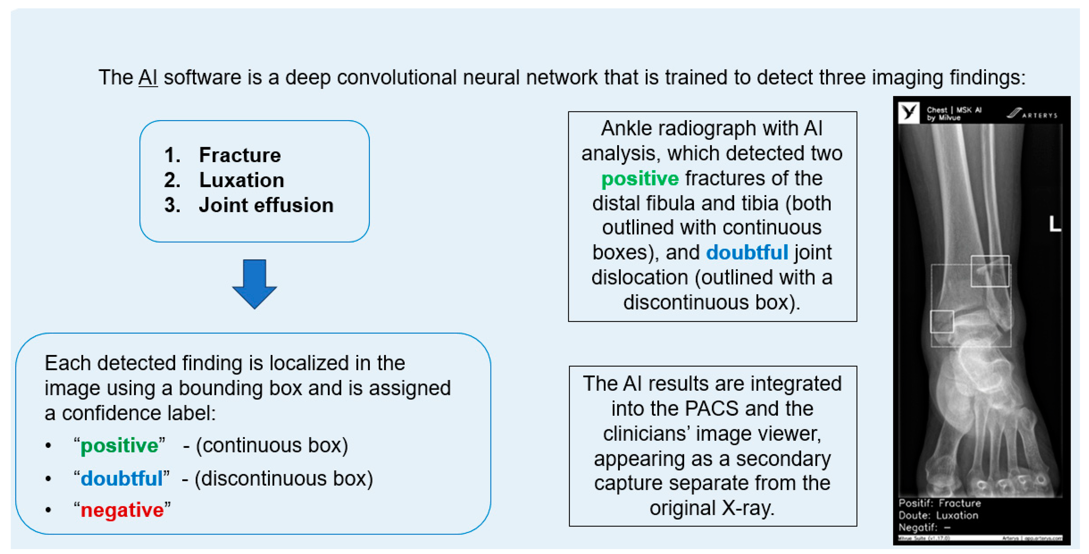 Diagnostics 15 00491 g002