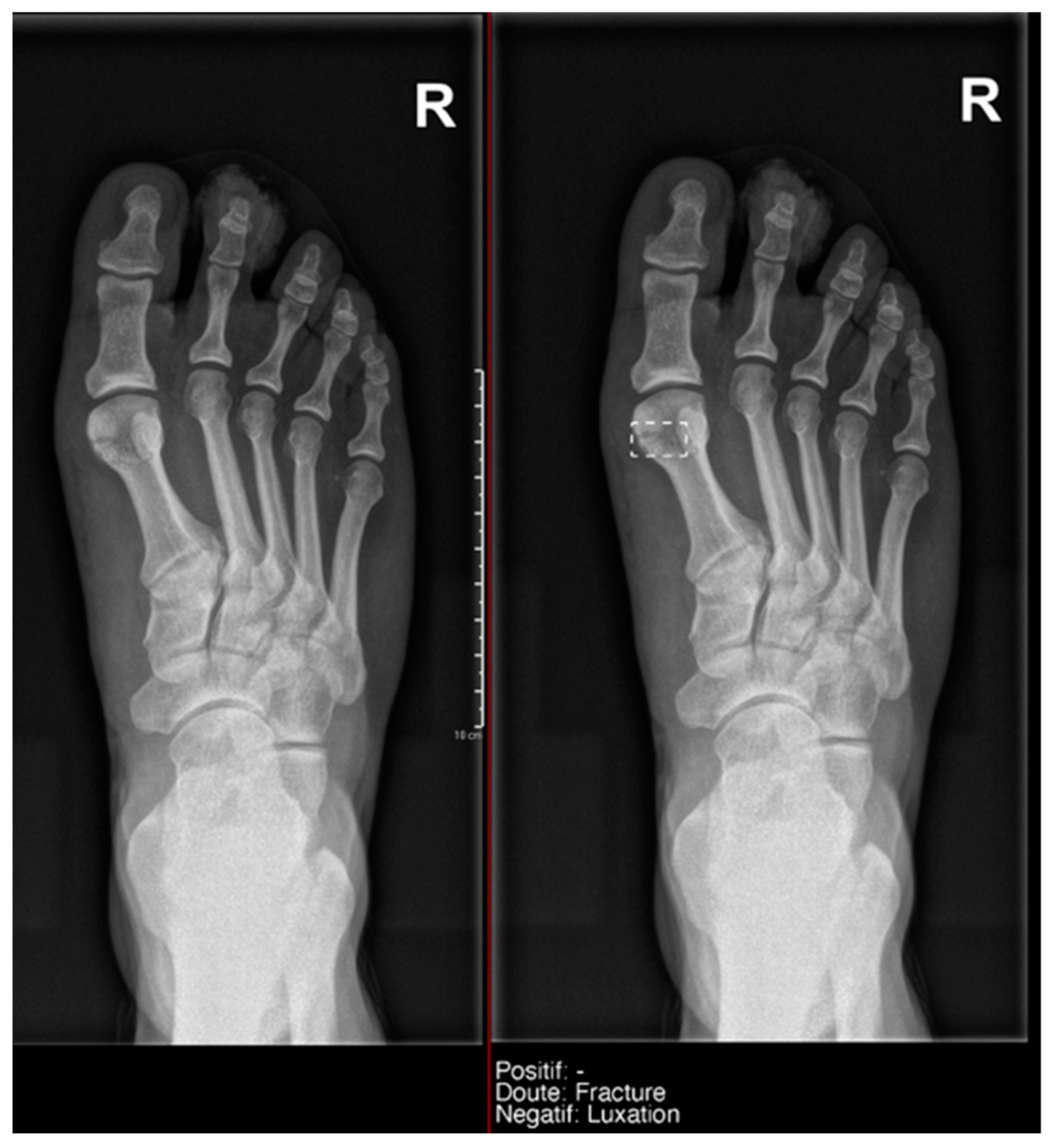 Diagnostics 15 00491 g008