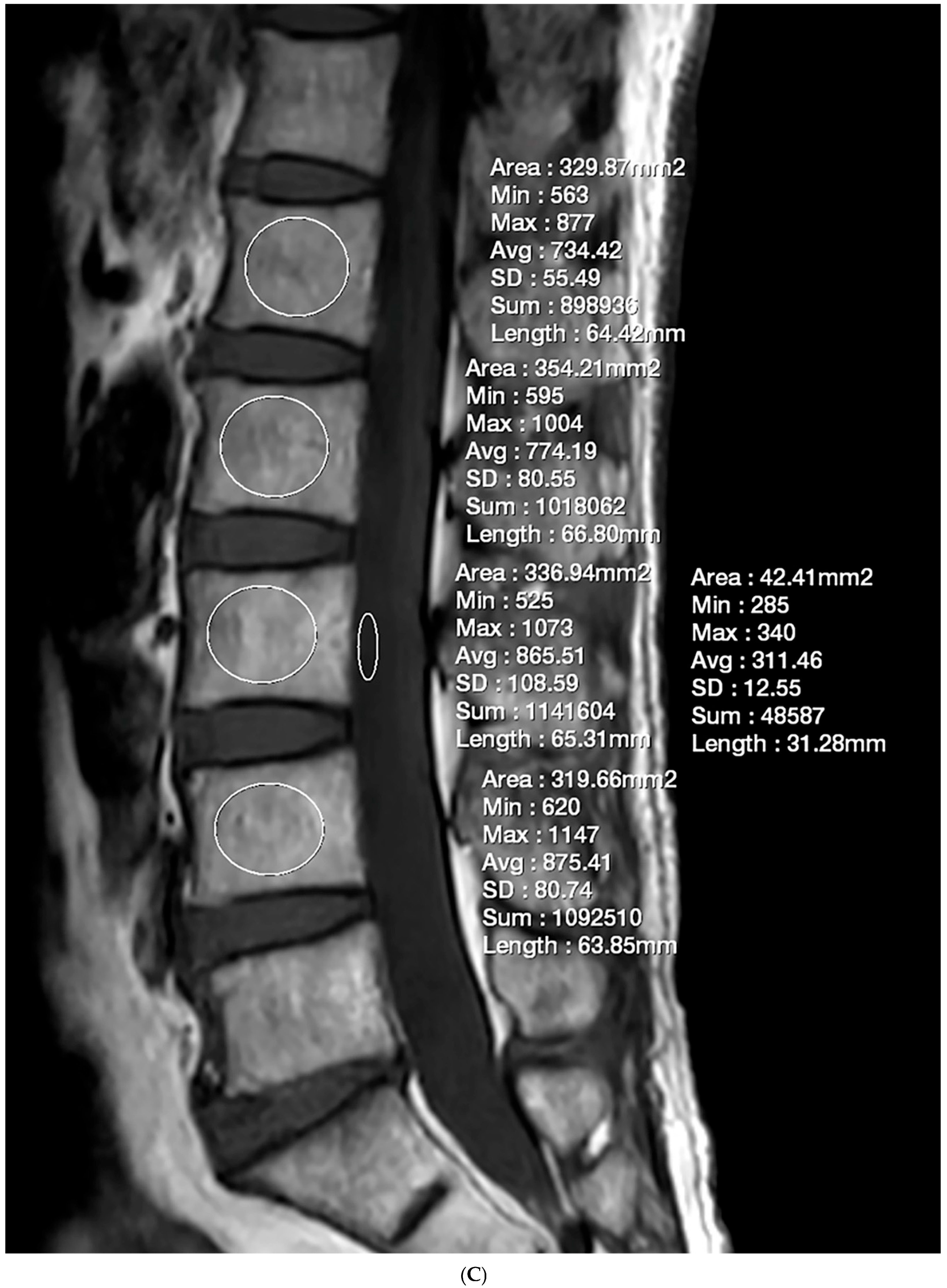 Diagnostics 15 00503 g001c